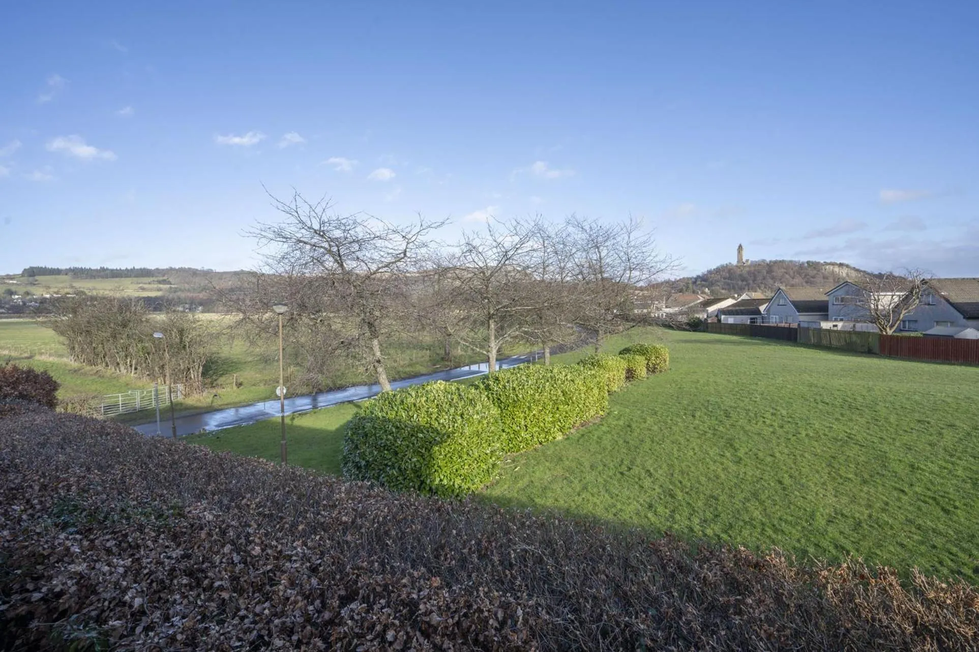 Natural landscape in Springfield Lodge Bed and Breakfast