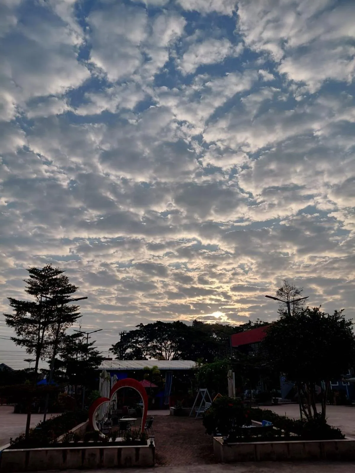 View (from property/room) in Tulip Hotel