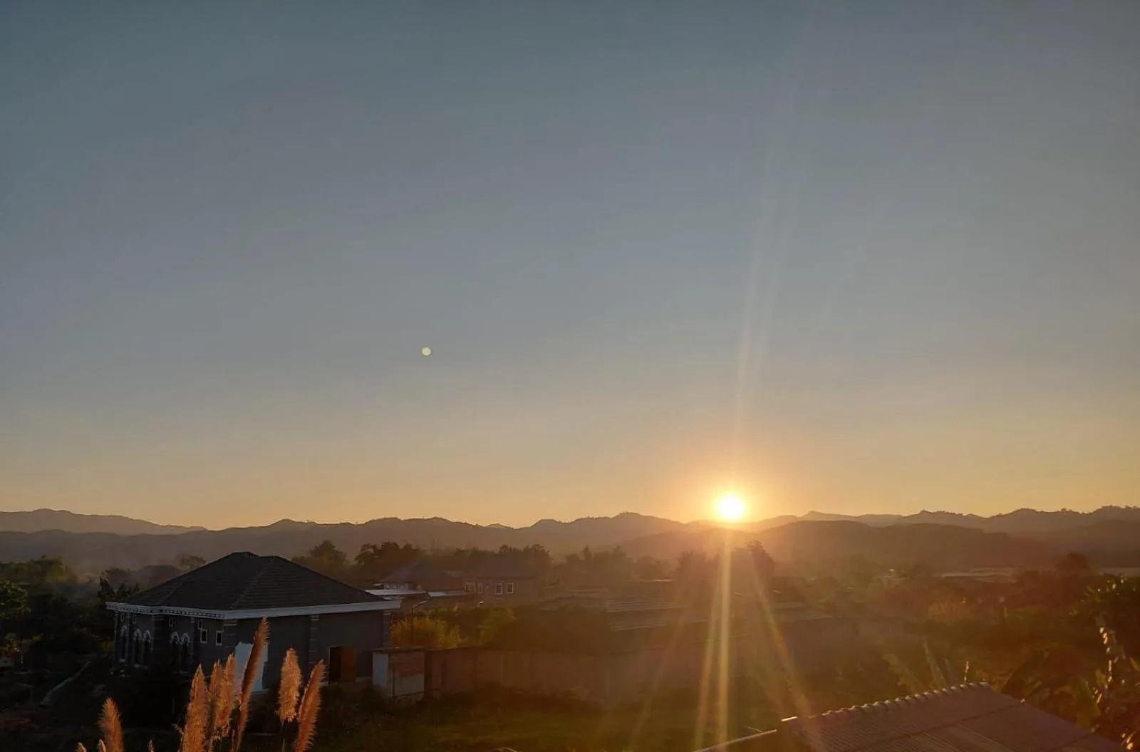 View (from property/room) in Tulip Hotel