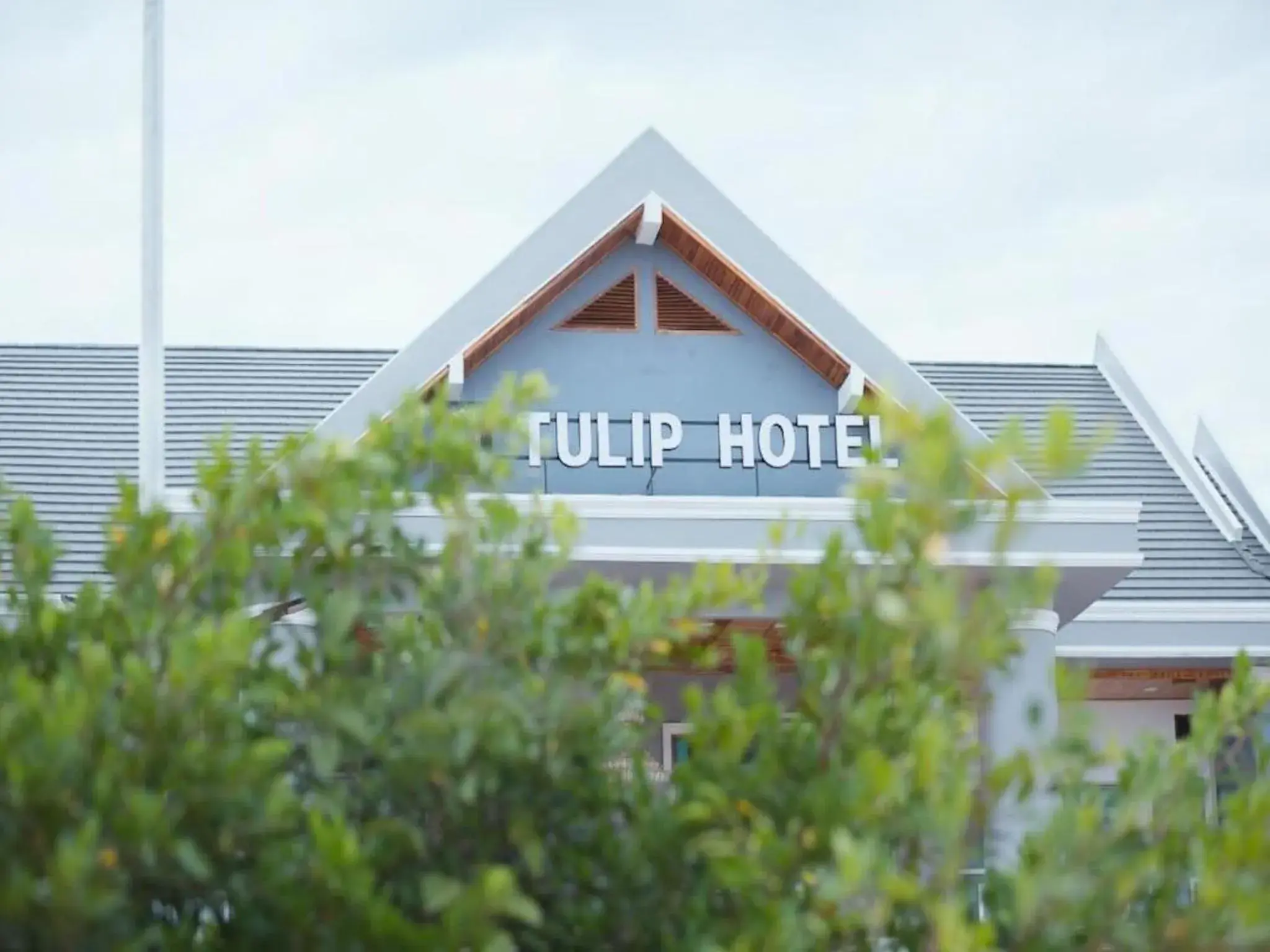 Property building in Tulip Hotel Property building in Tulip Hotel