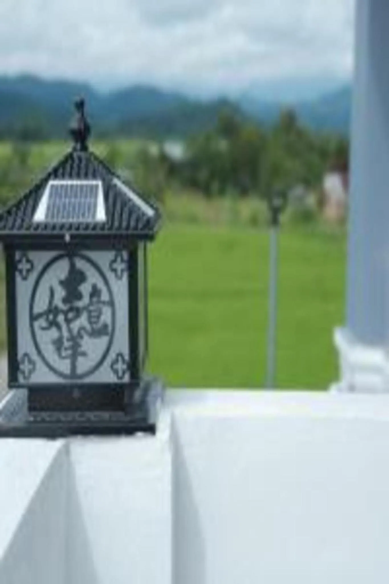 Mountain view in Tulip Hotel