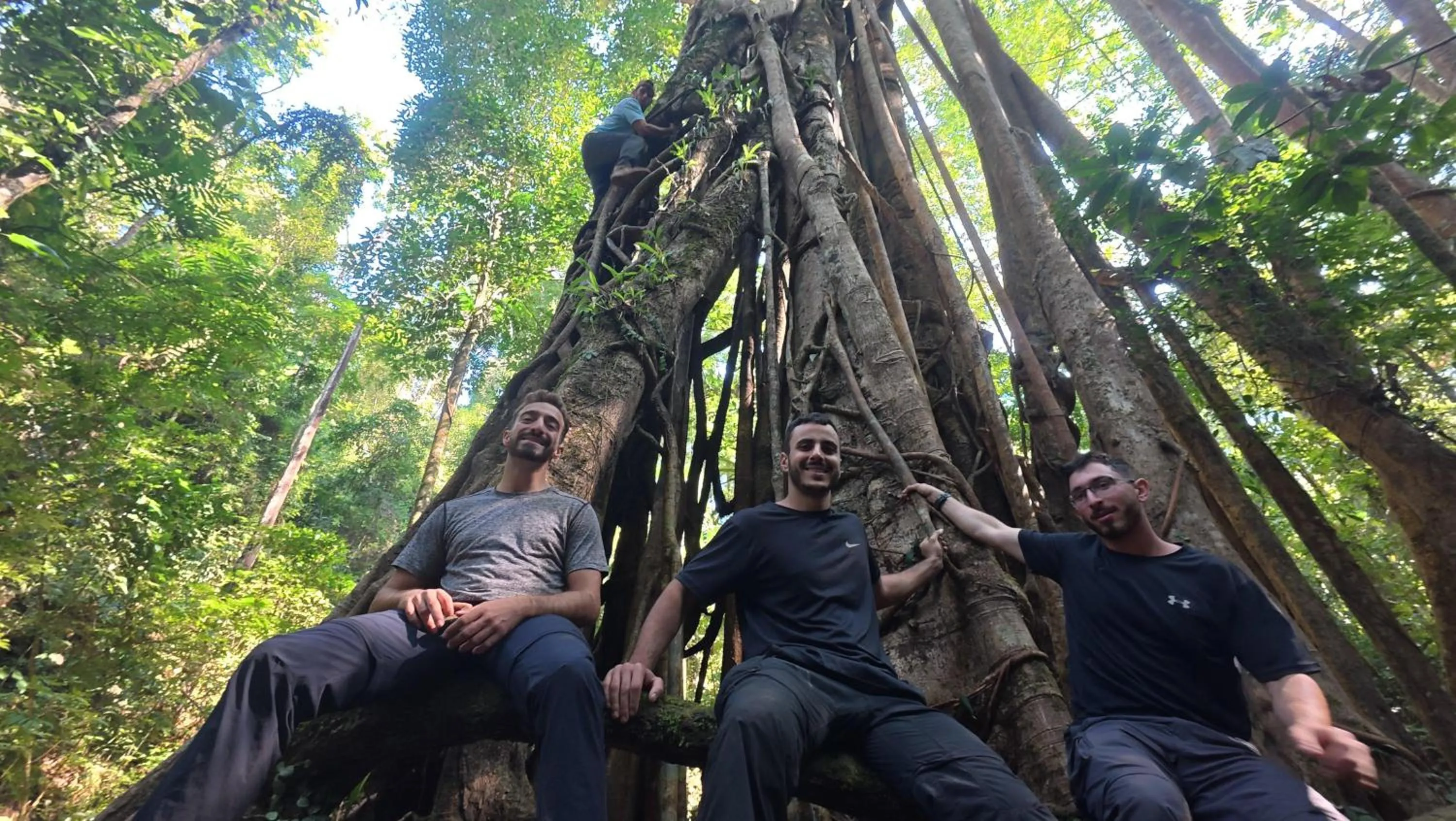 Hiking in Tulip Hotel