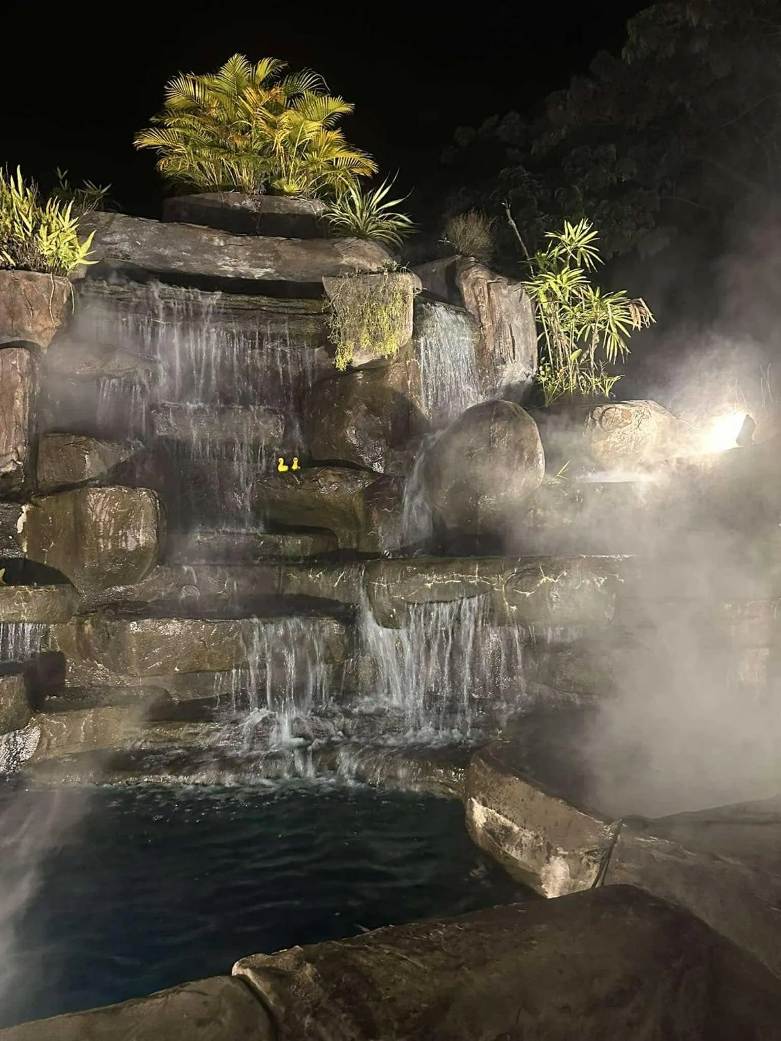 Restaurant/places to eat in Tulip Hotel