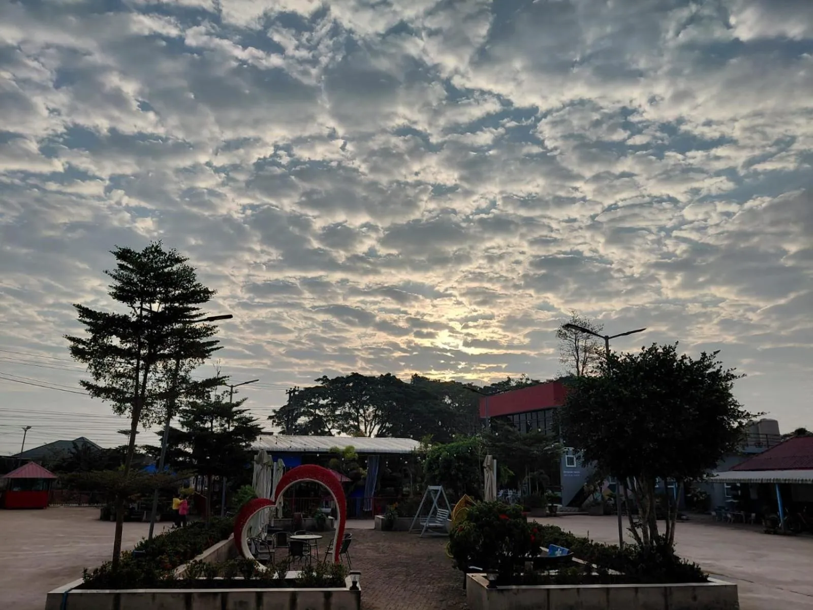 Mountain view in Tulip Hotel