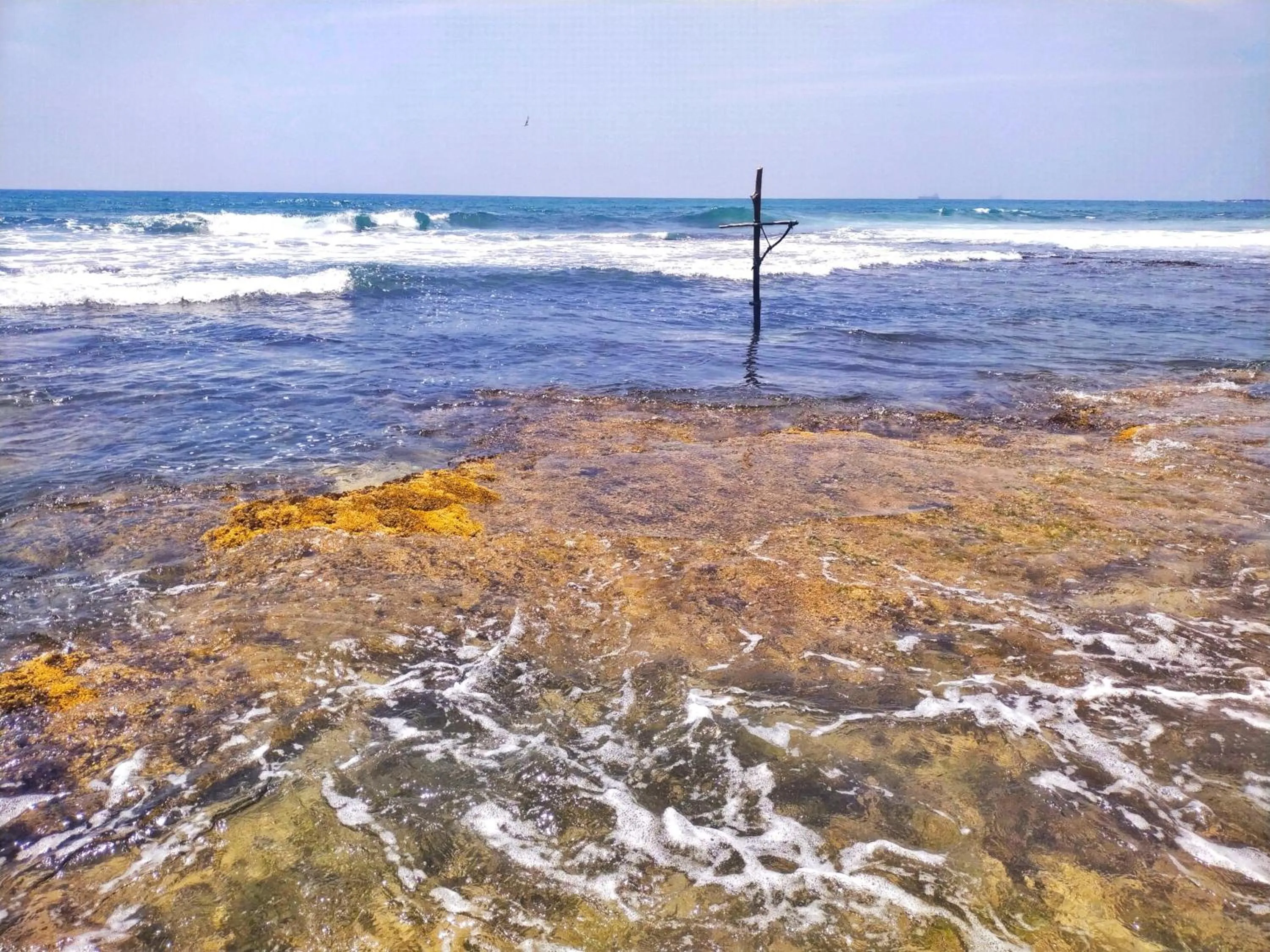 Nearby landmark in DALAWELLA BEACH RESORT