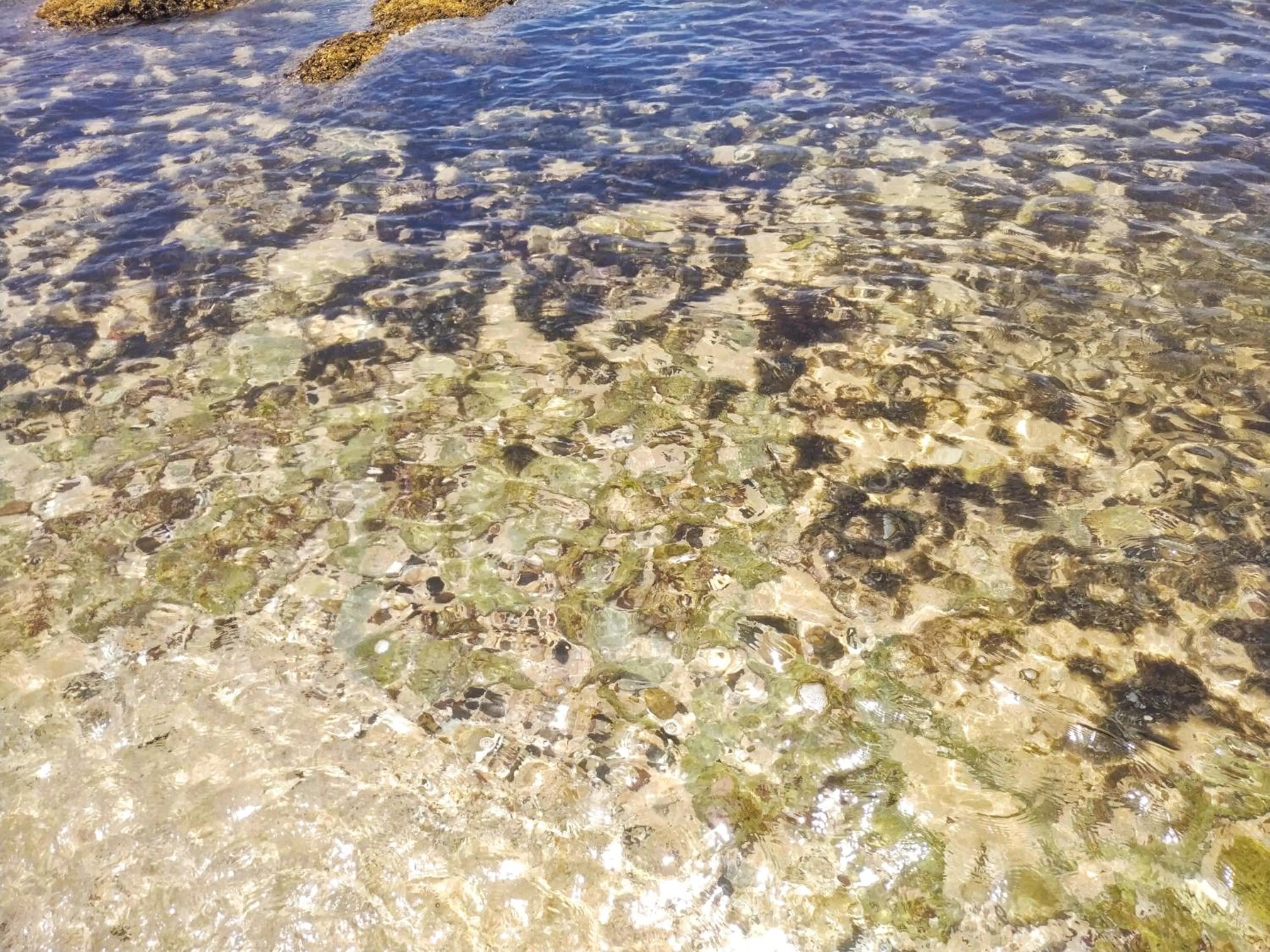 Sea view in DALAWELLA BEACH RESORT