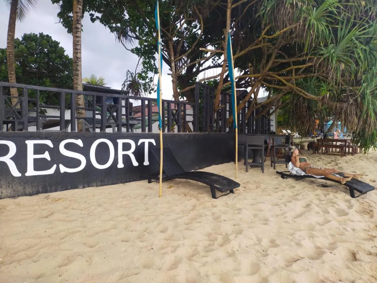 Natural landscape in DALAWELLA BEACH RESORT