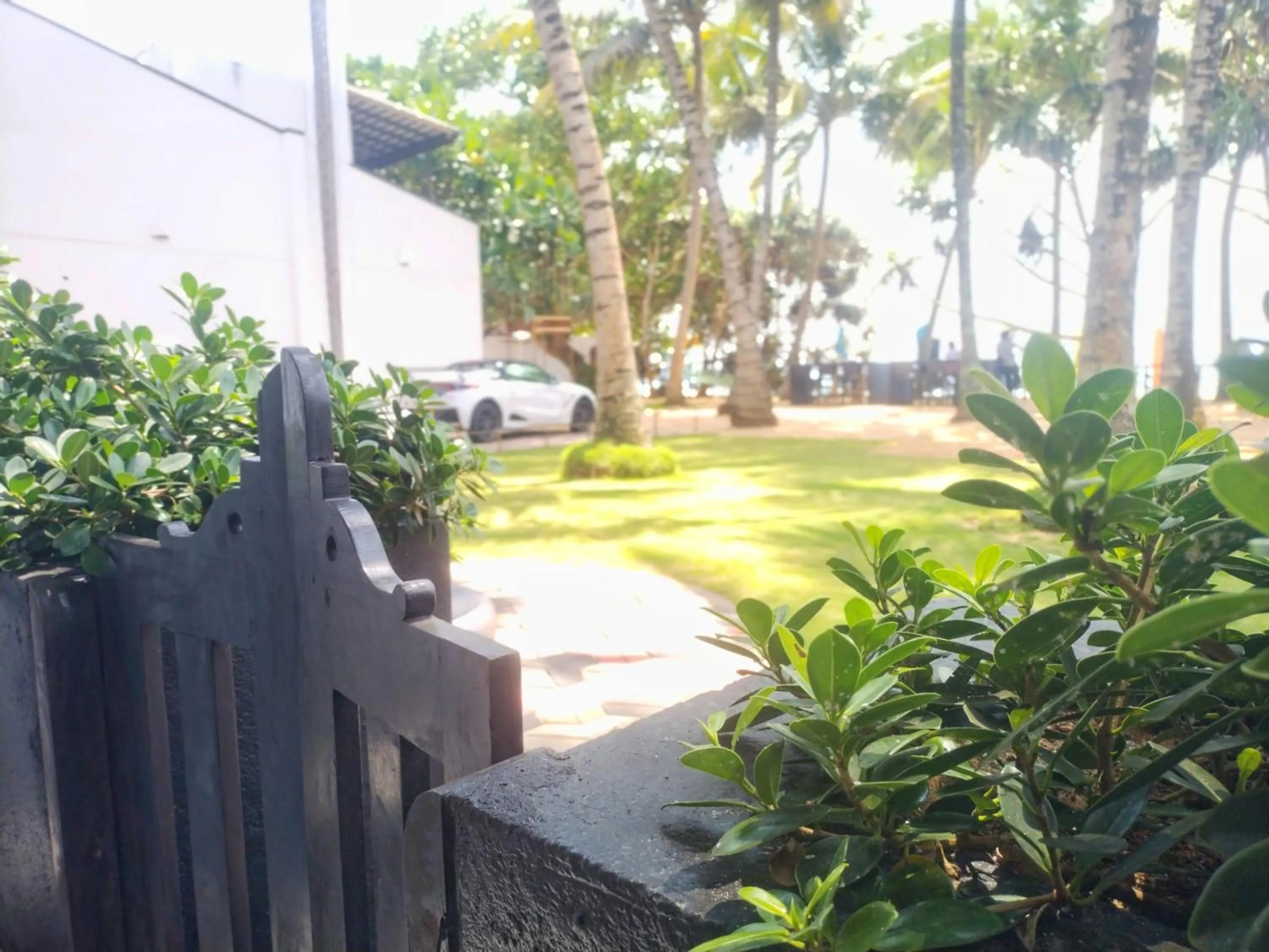 Garden view in DALAWELLA BEACH RESORT