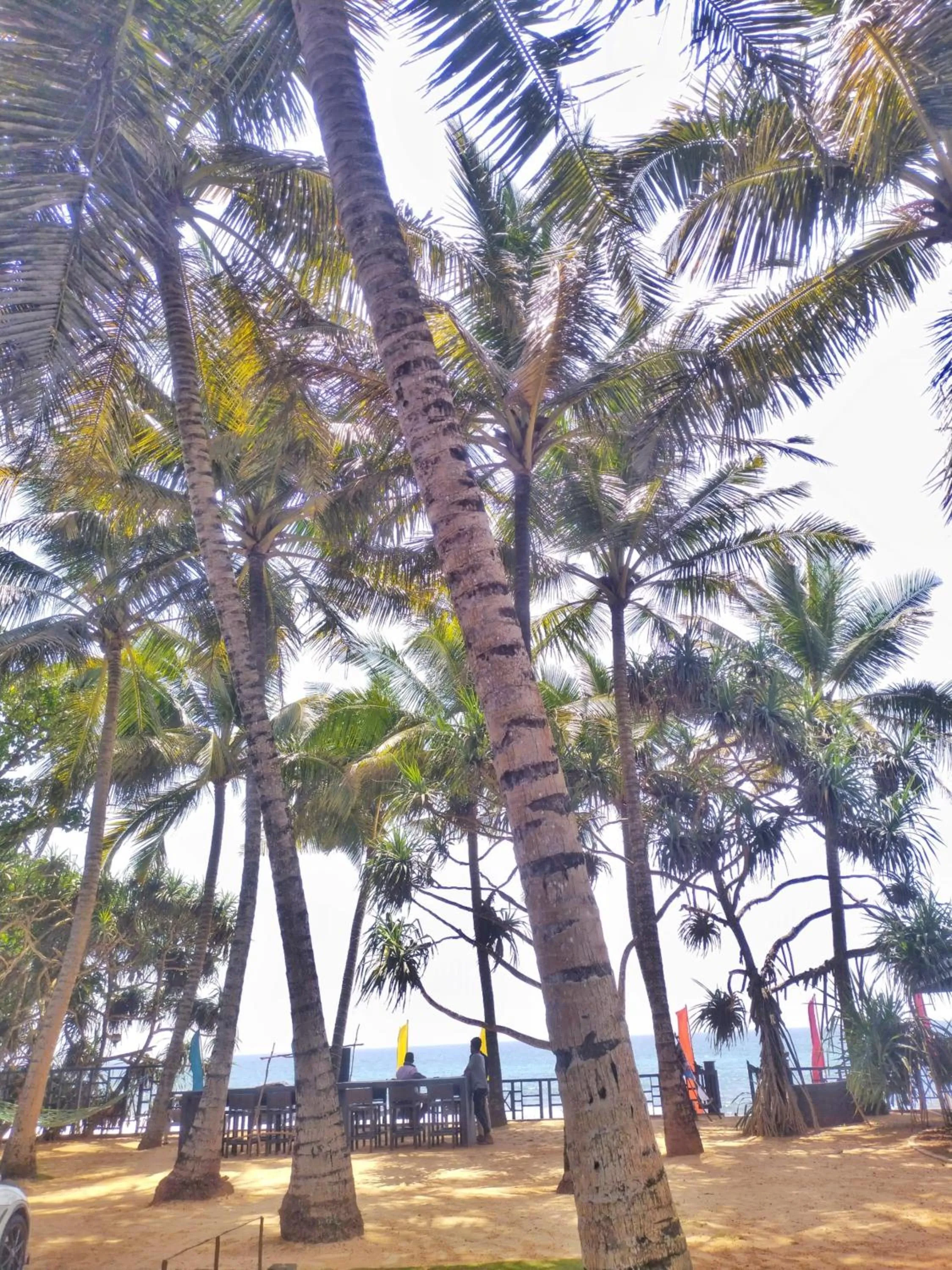 Day in DALAWELLA BEACH RESORT