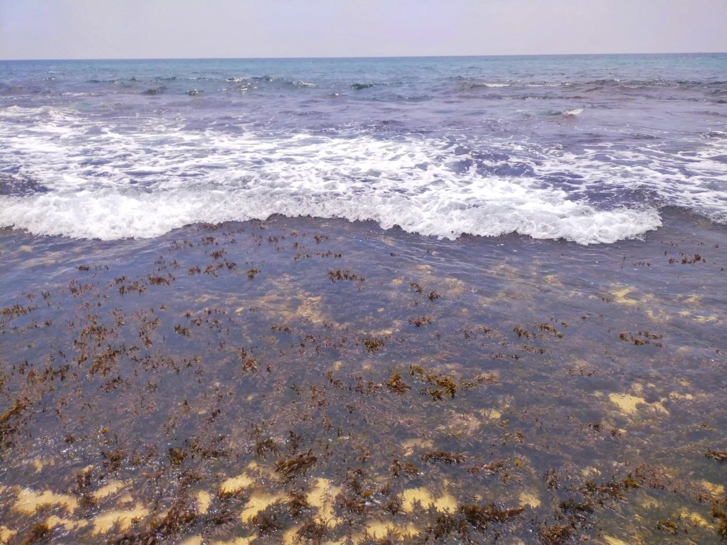 Beach in DALAWELLA BEACH RESORT