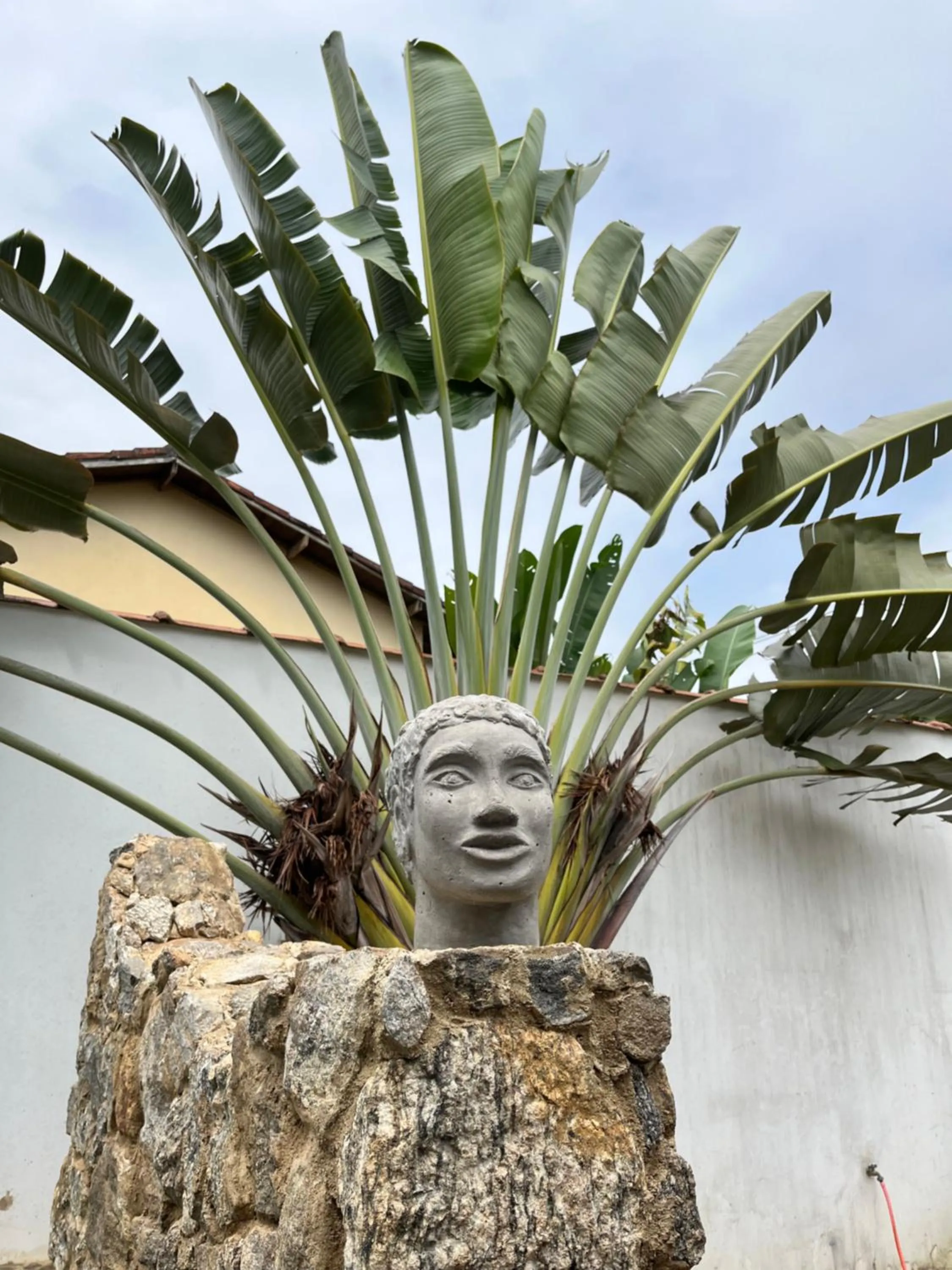 Property building in Casa Arte Cabore