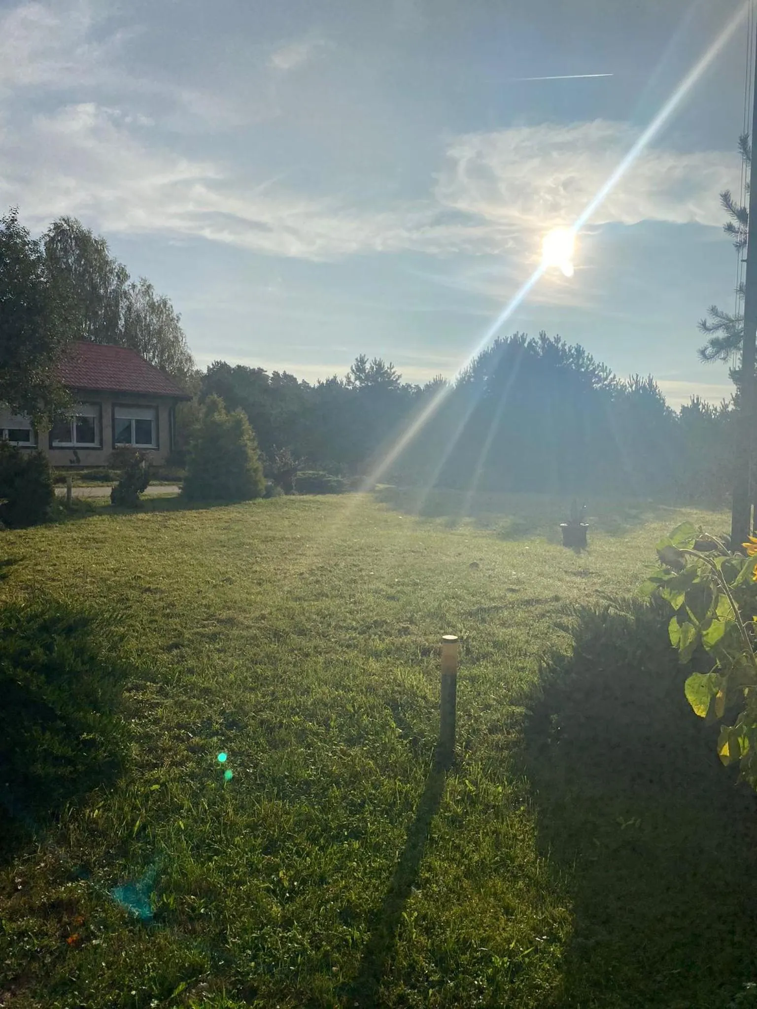 Natural landscape in Hotel Kos