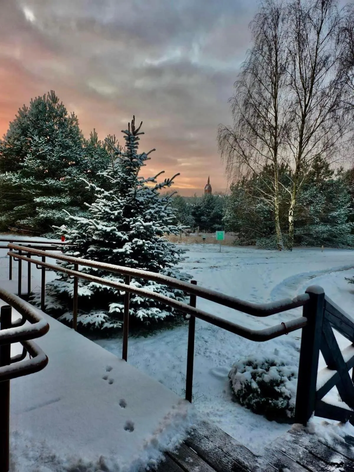 Natural landscape in Hotel Kos