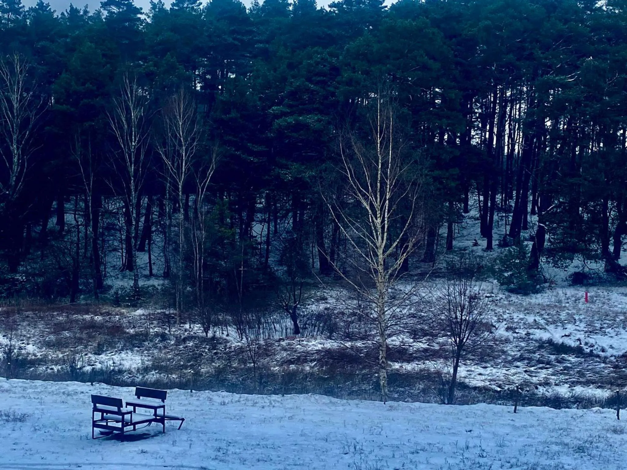 Natural landscape in Hotel Kos