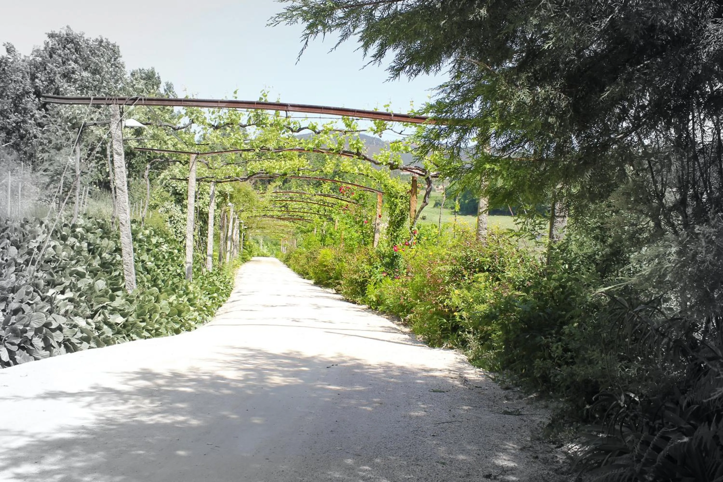 Area and facilities in Lousada Country Hotel