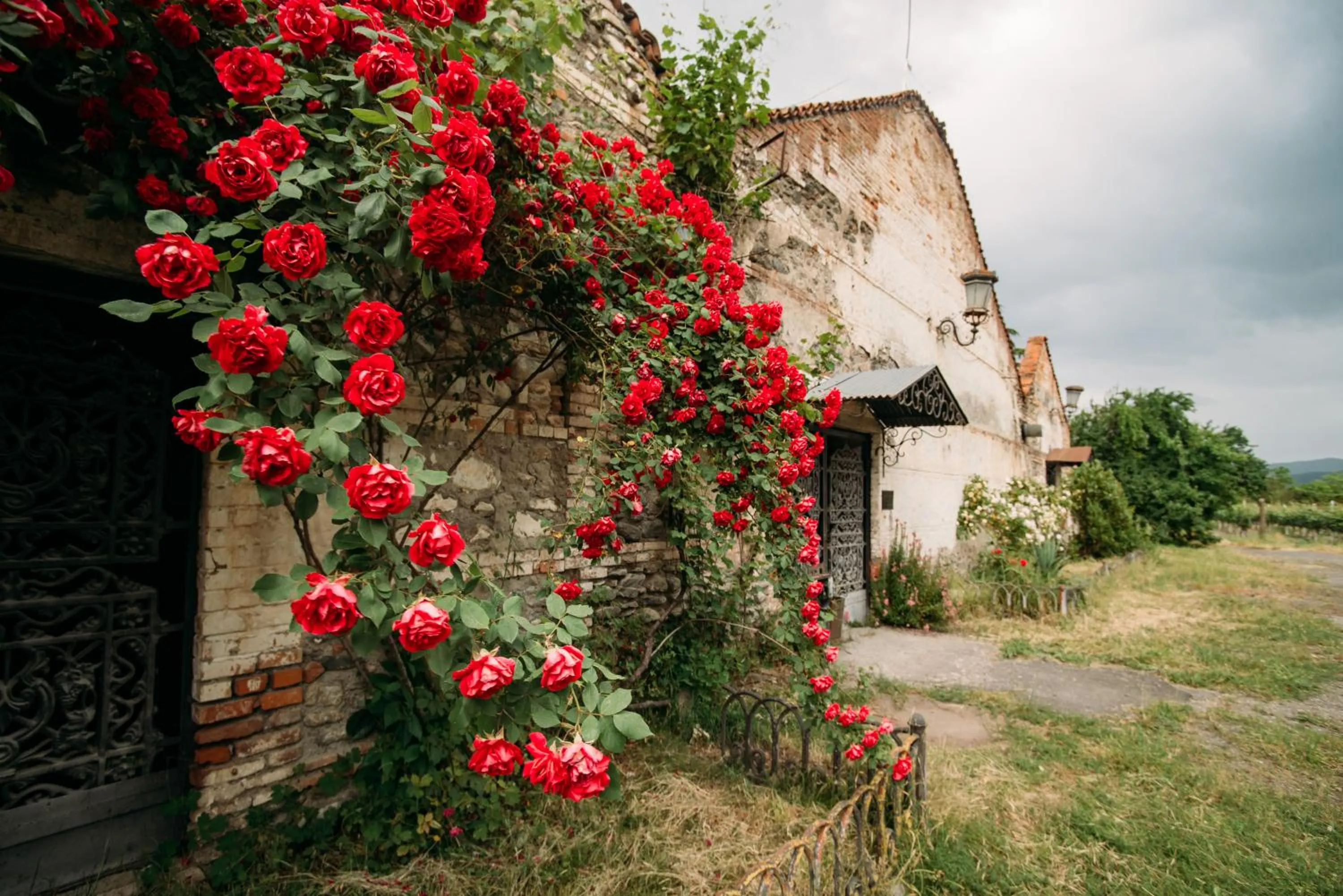 Garden in Chateau Eniseli