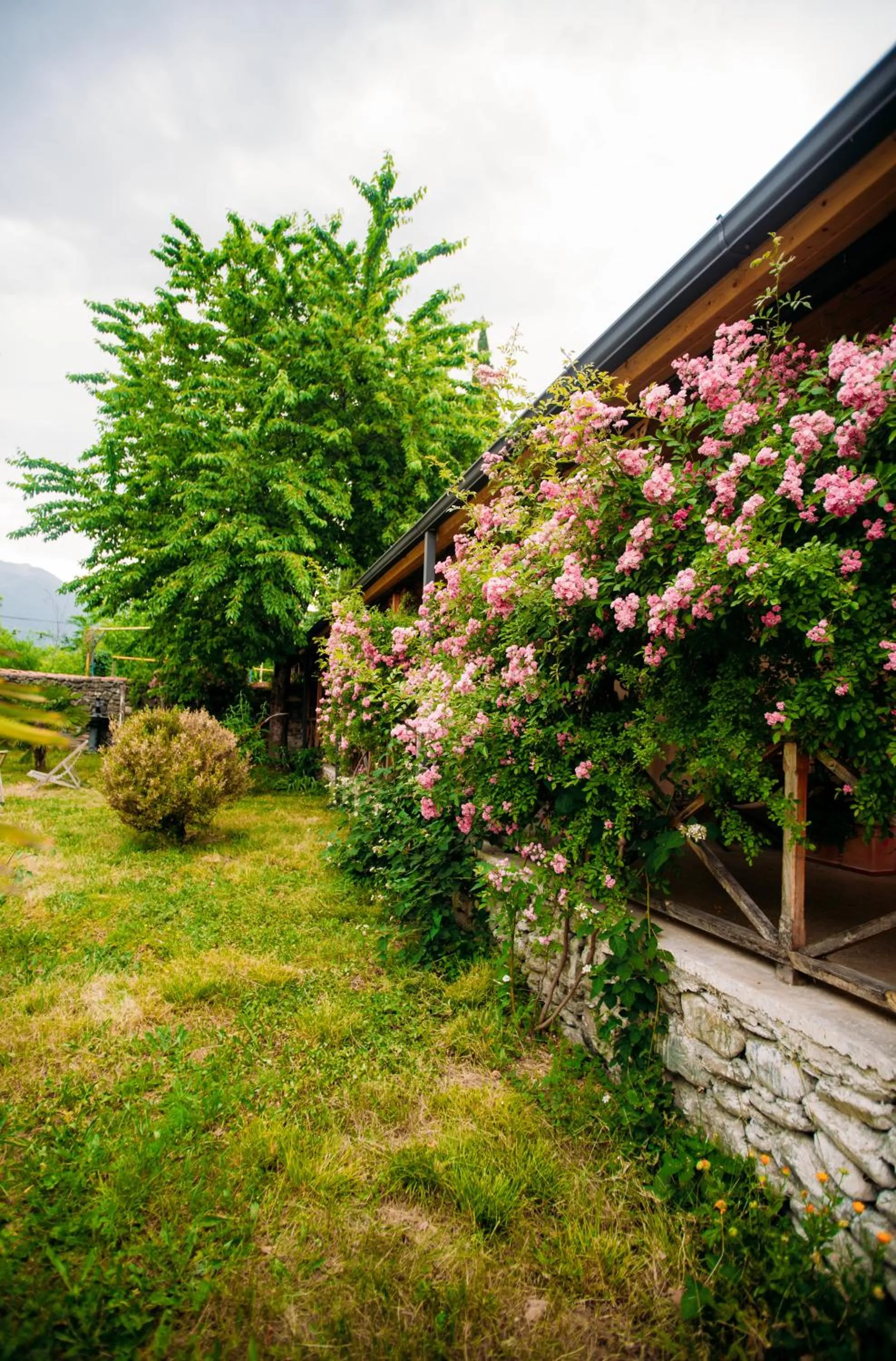 Property building in Chateau Eniseli