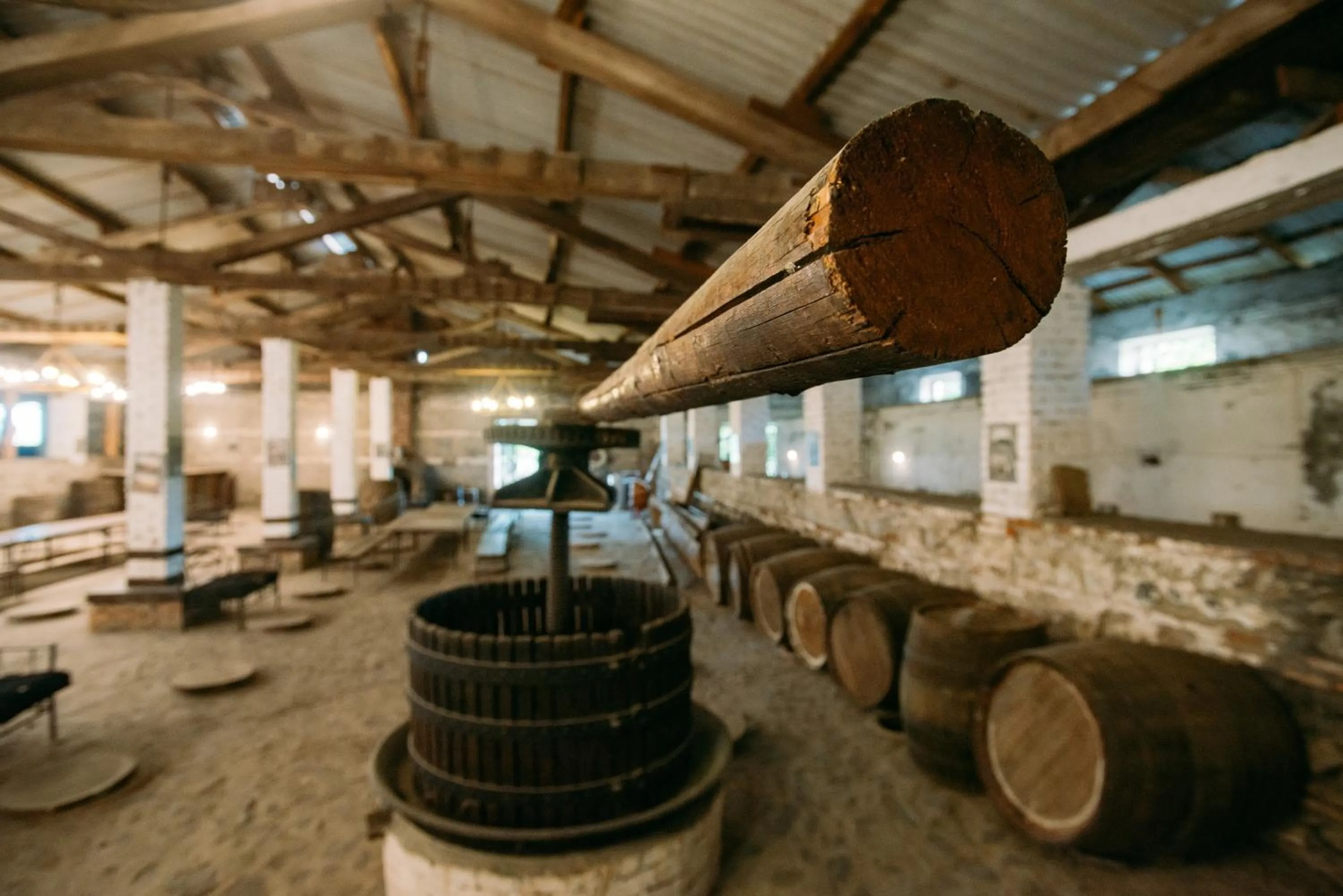 Entertainment in Chateau Eniseli