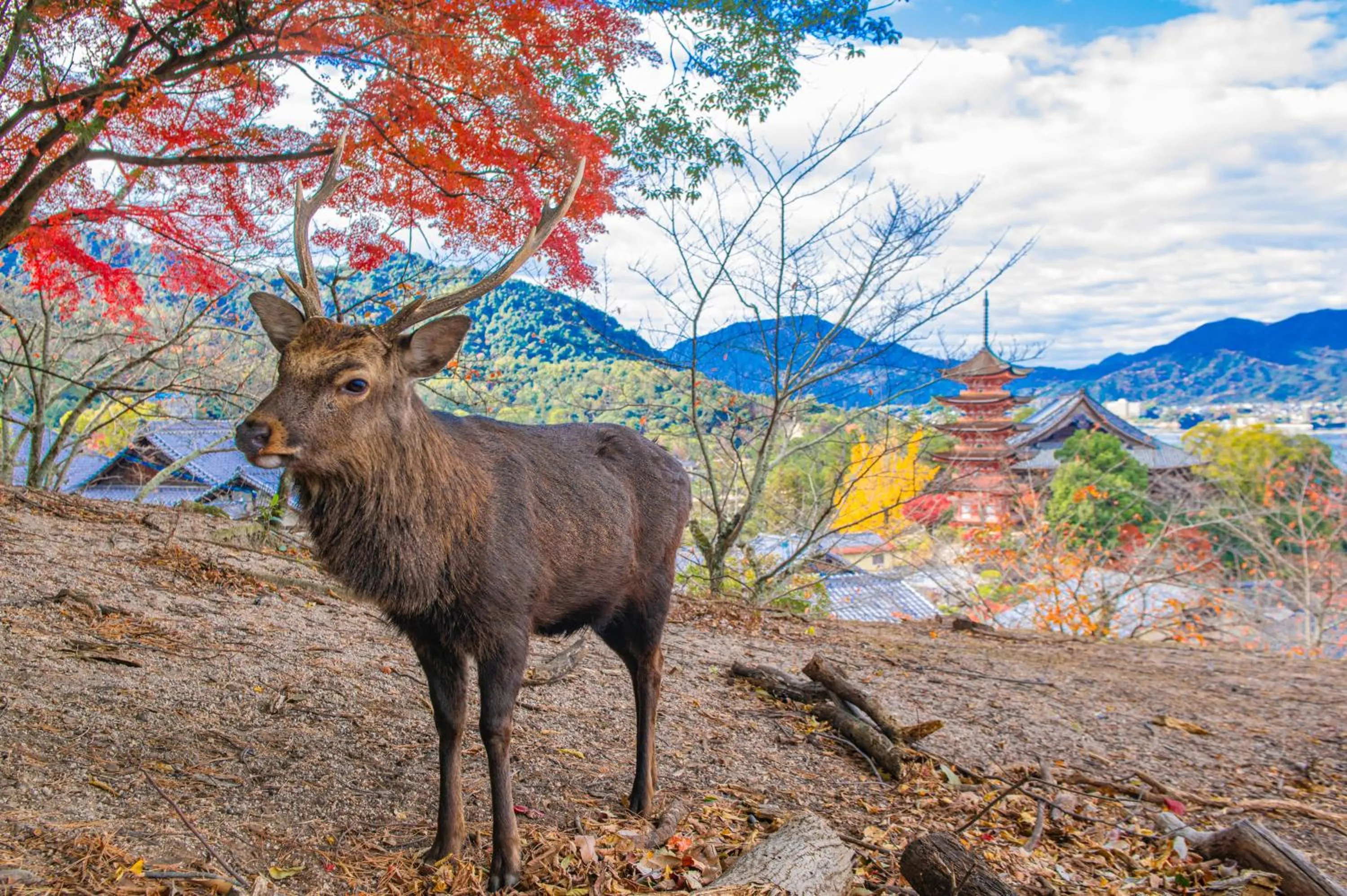 Nearby landmark in Hotel 28 Hiroshima