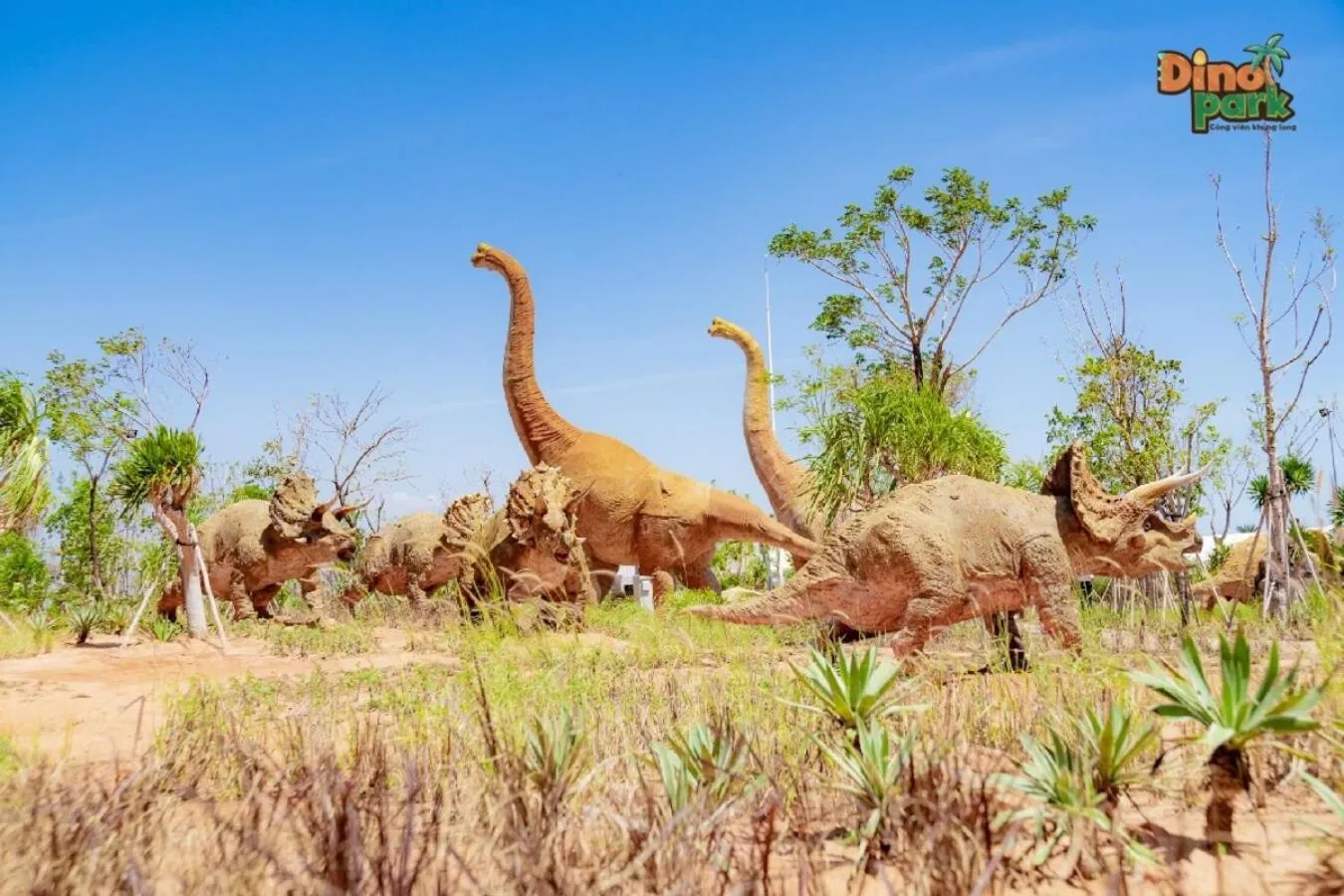 Nearby landmark in Wonderland Resort Phan Thiet