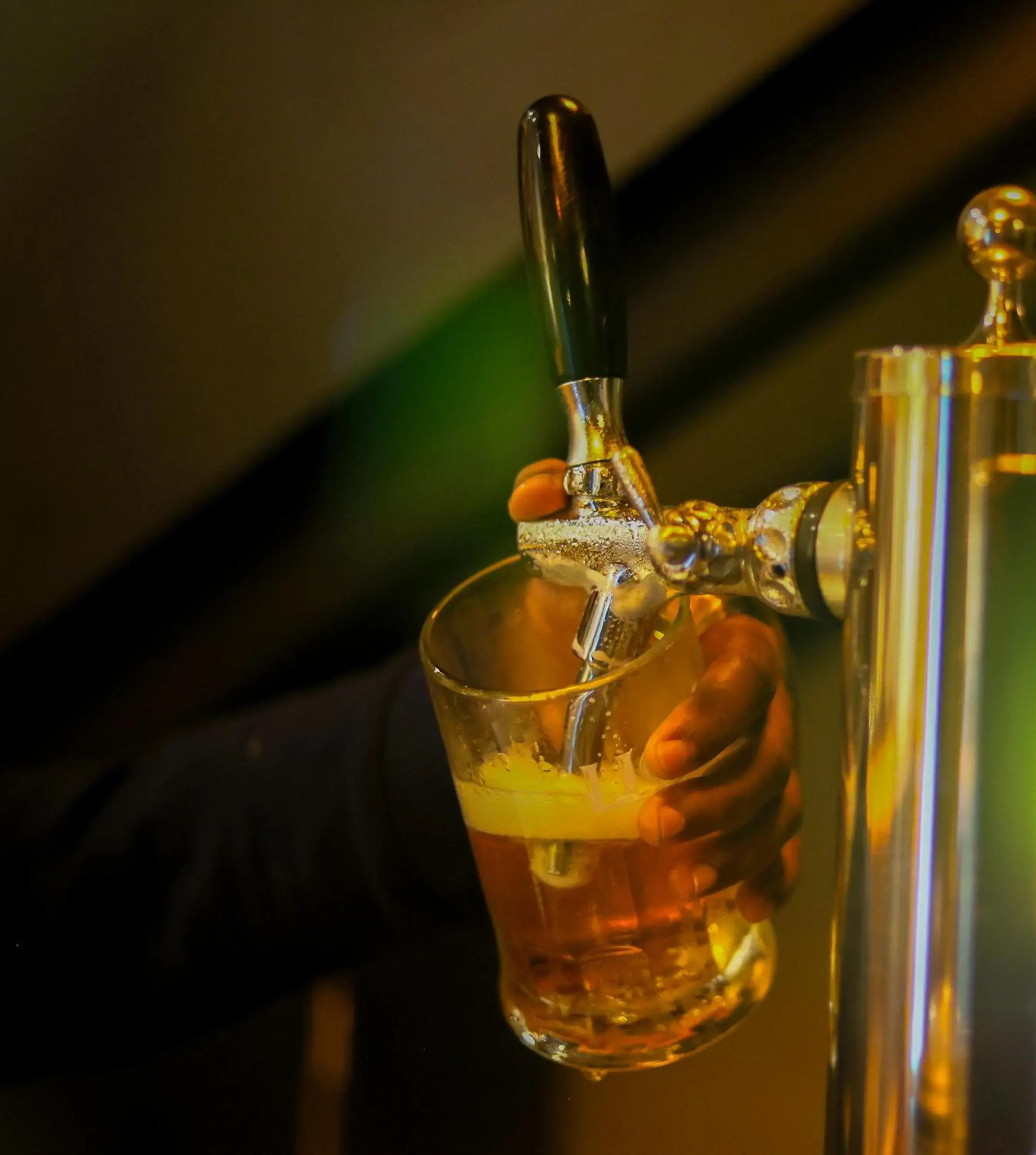 Lounge or bar in Hotel Bulwark Lounge or bar in Hotel Bulwark