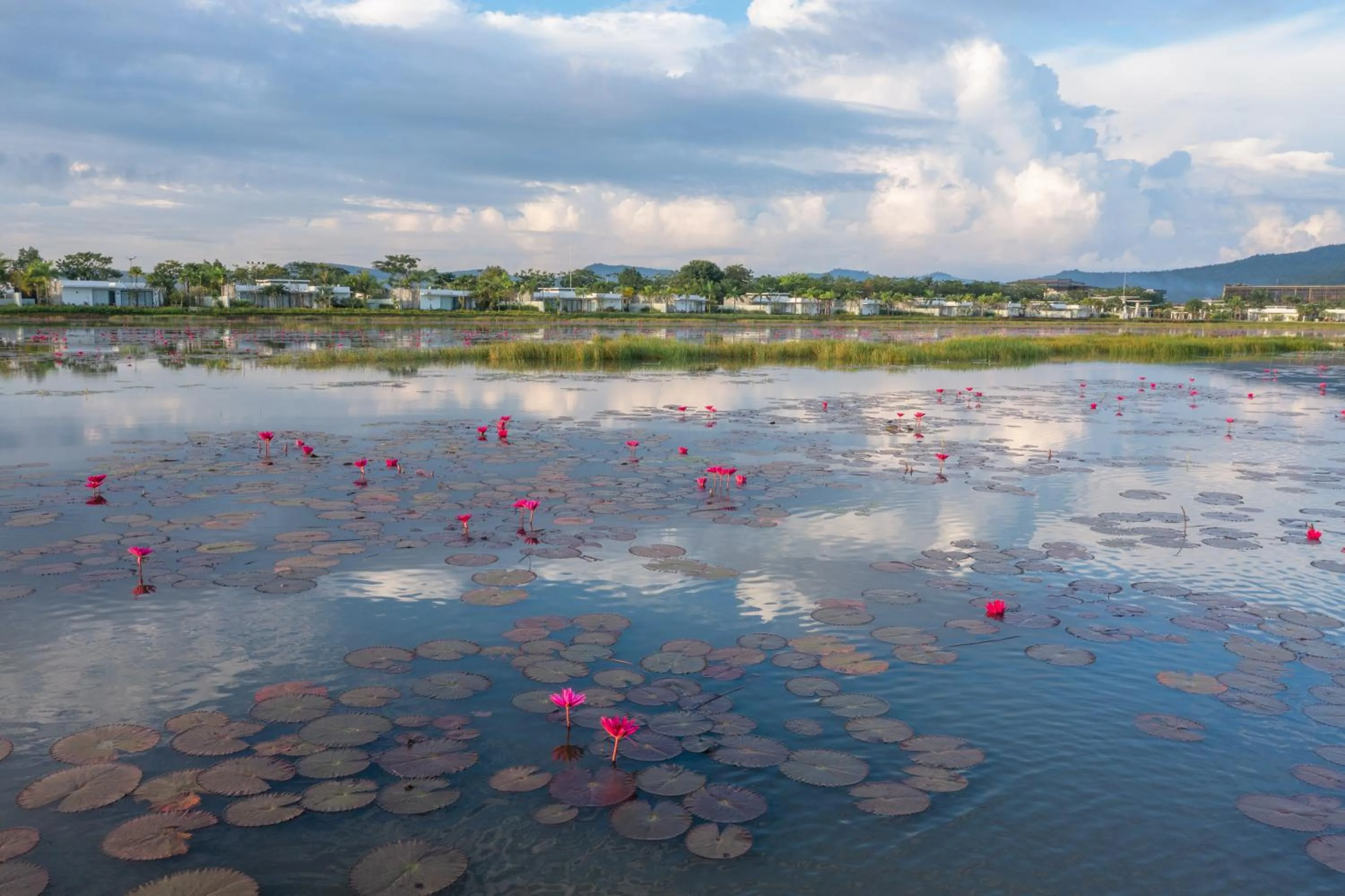 View (from property/room) in Wonderland Suites and Resort