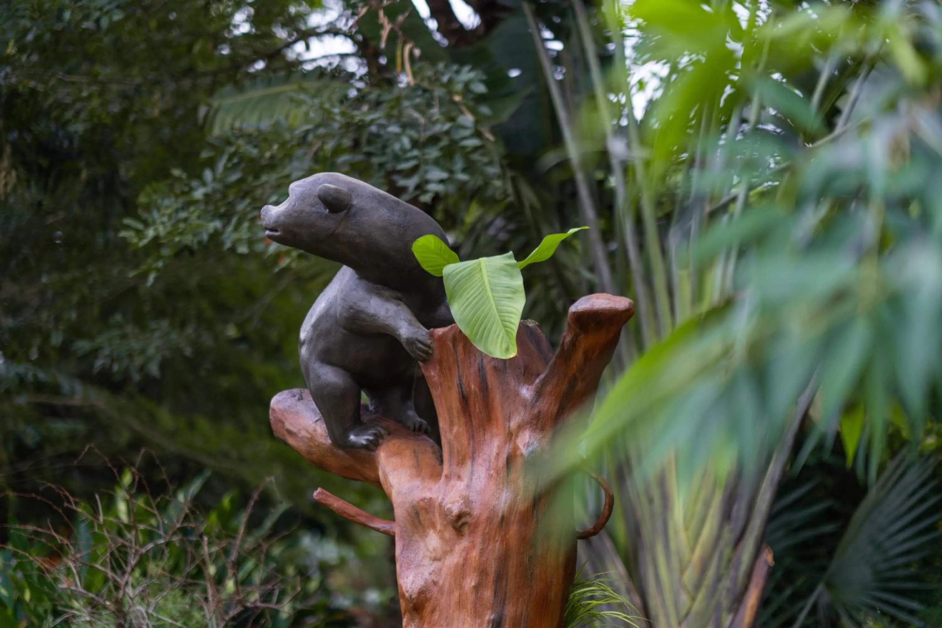 Area and facilities in Wonderland Suites and Resort