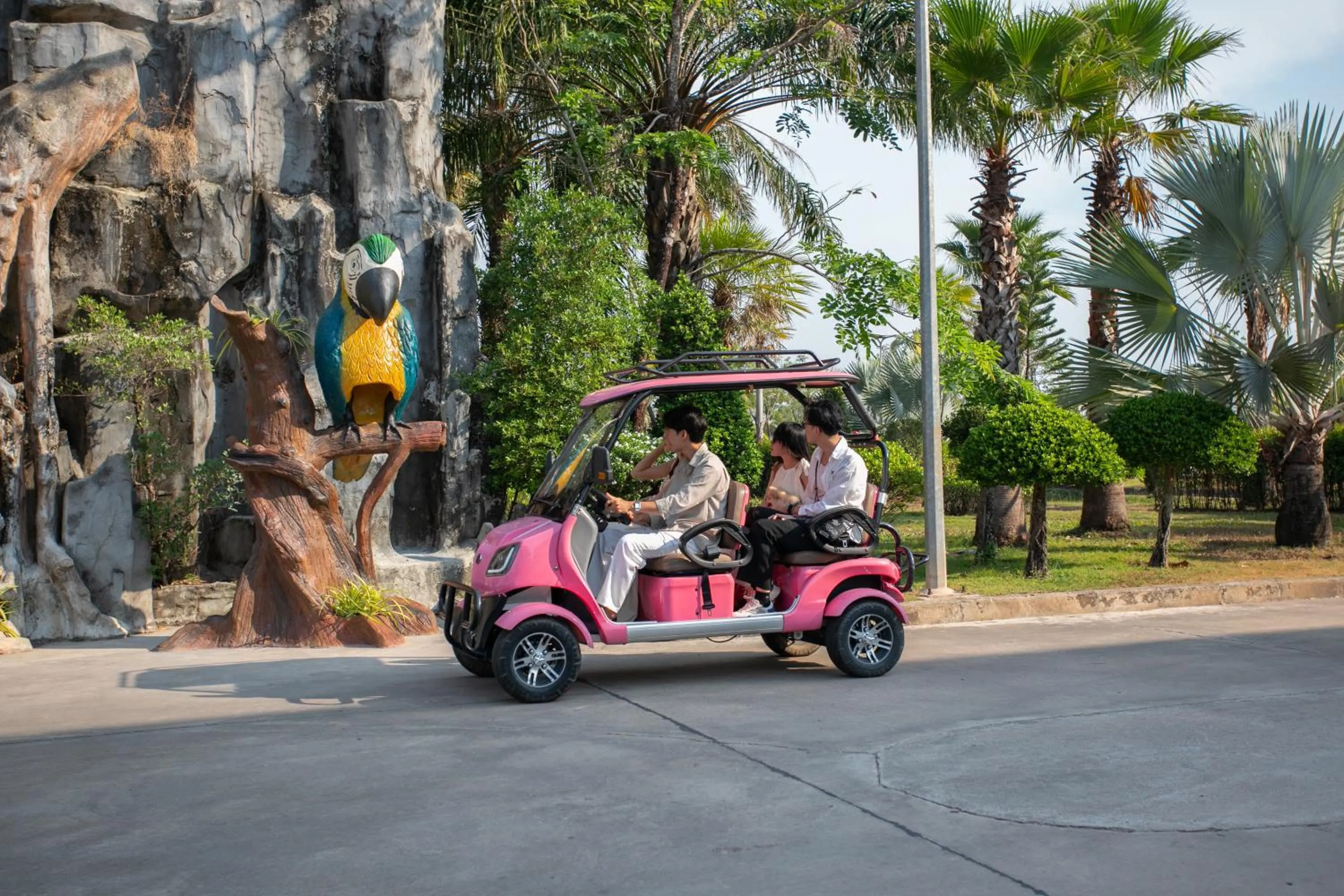 Activities in Wonderland Suites and Resort