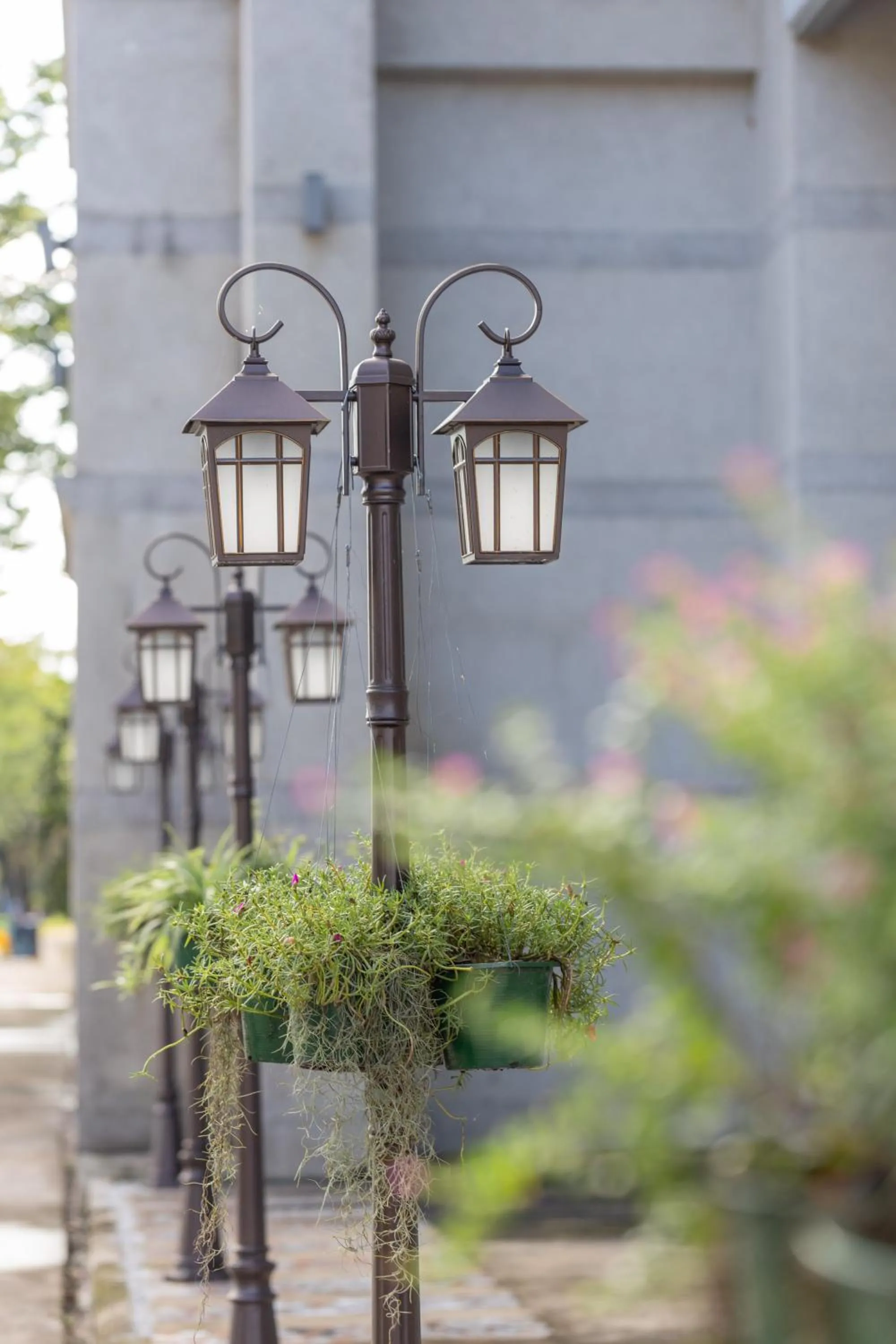 Garden view in Wonderland Suites and Resort