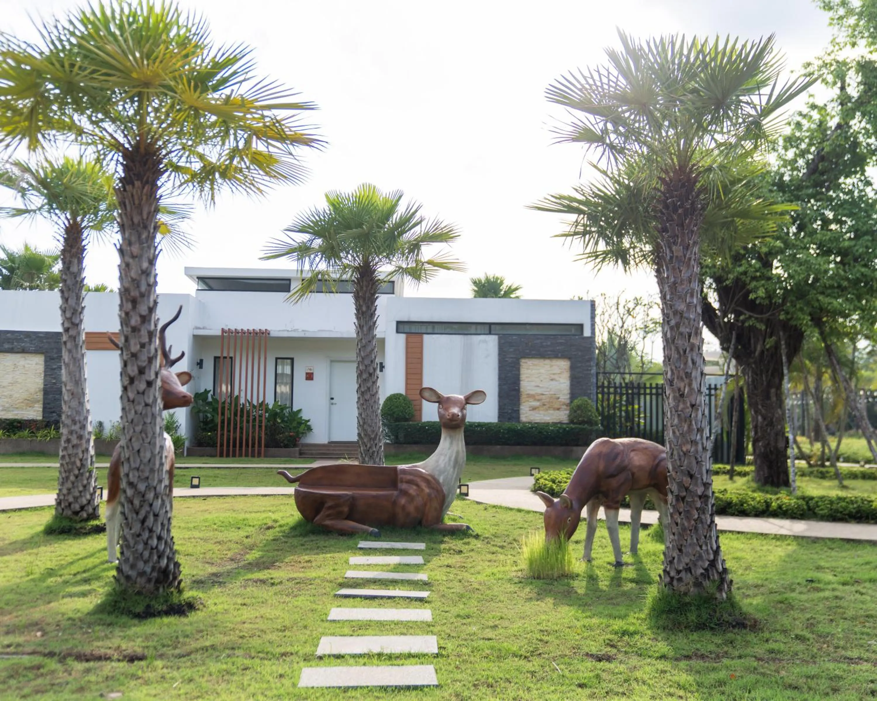 Area and facilities in Wonderland Suites and Resort