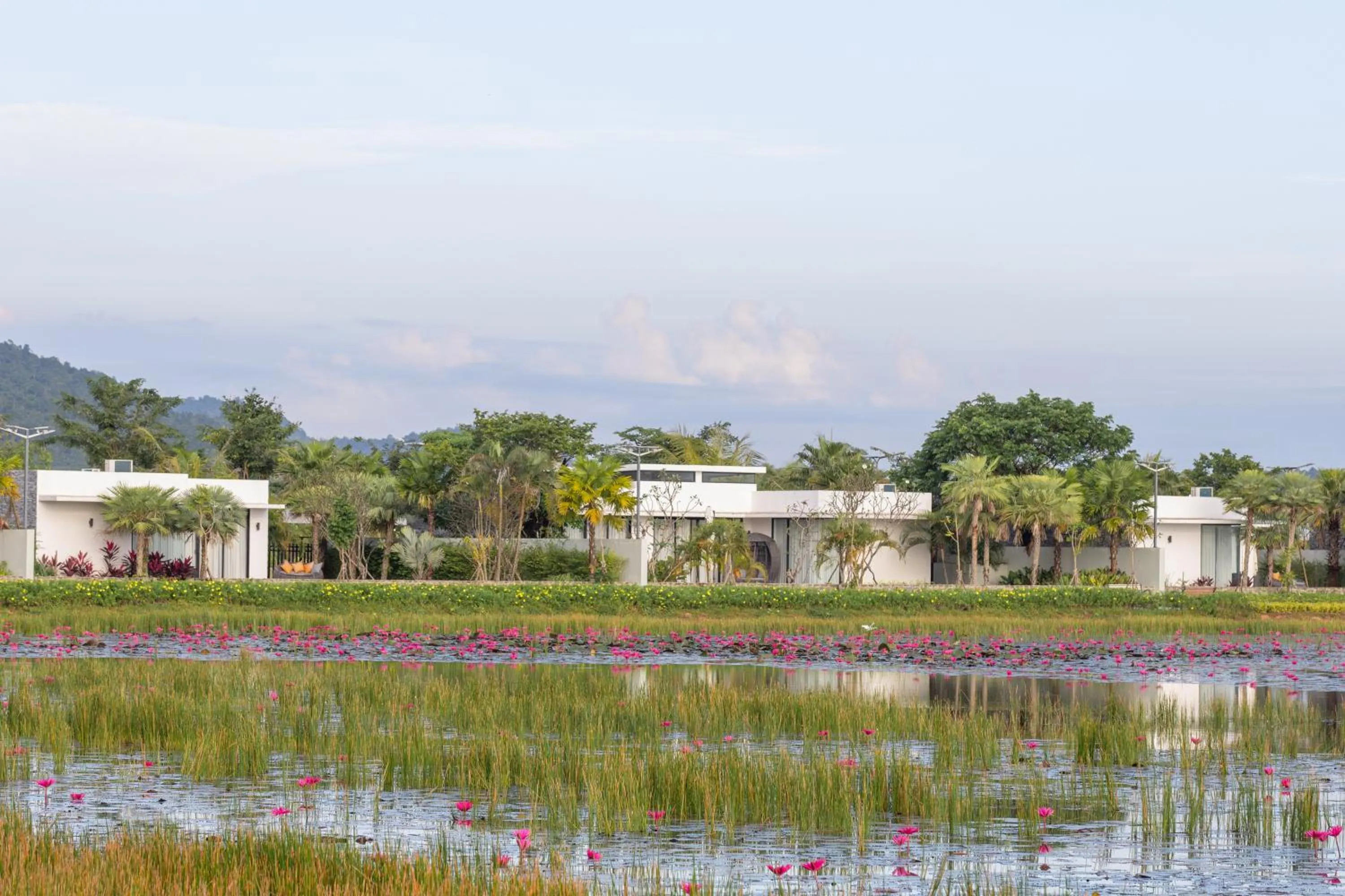 Garden view in Wonderland Suites and Resort