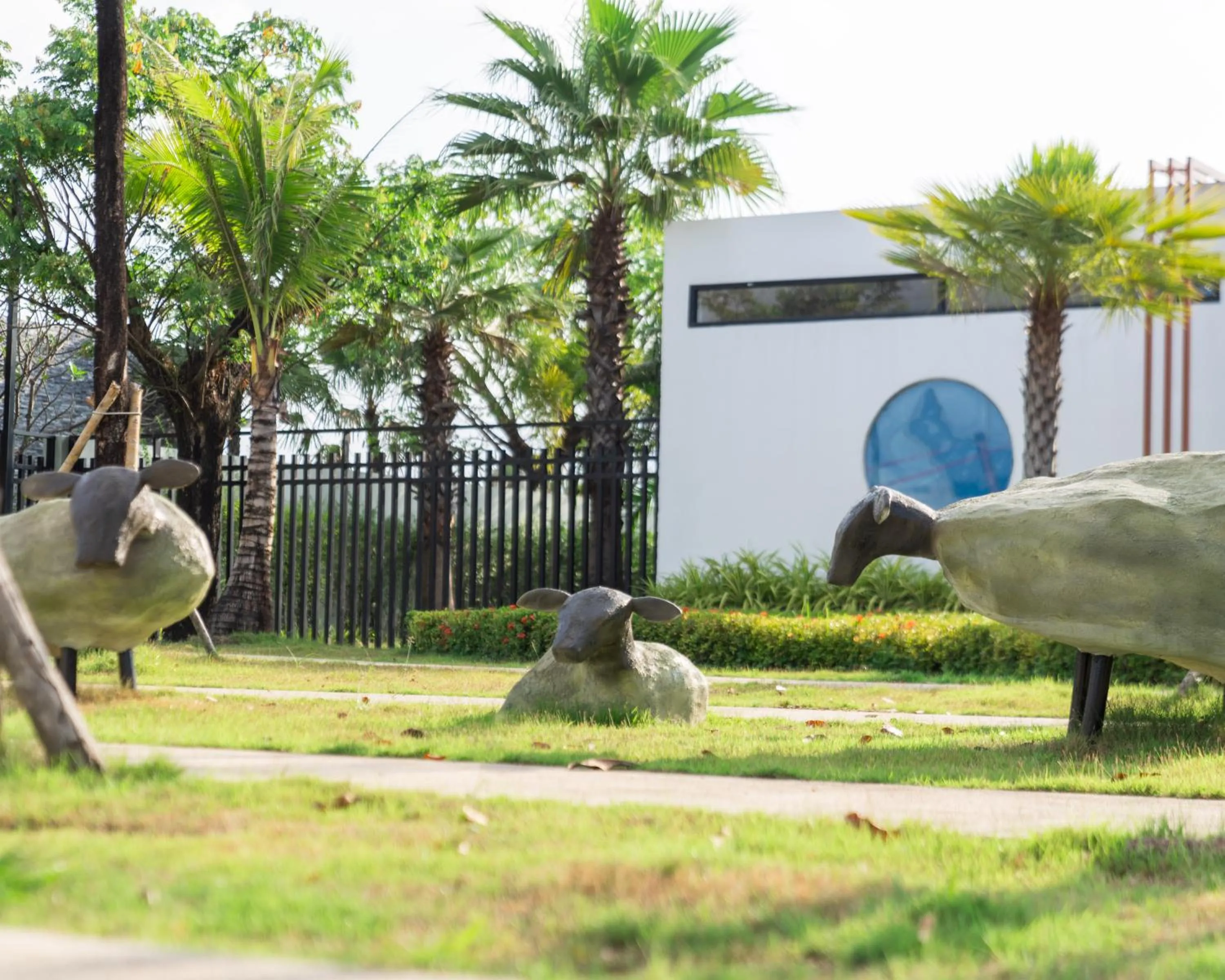 Animals in Wonderland Suites and Resort