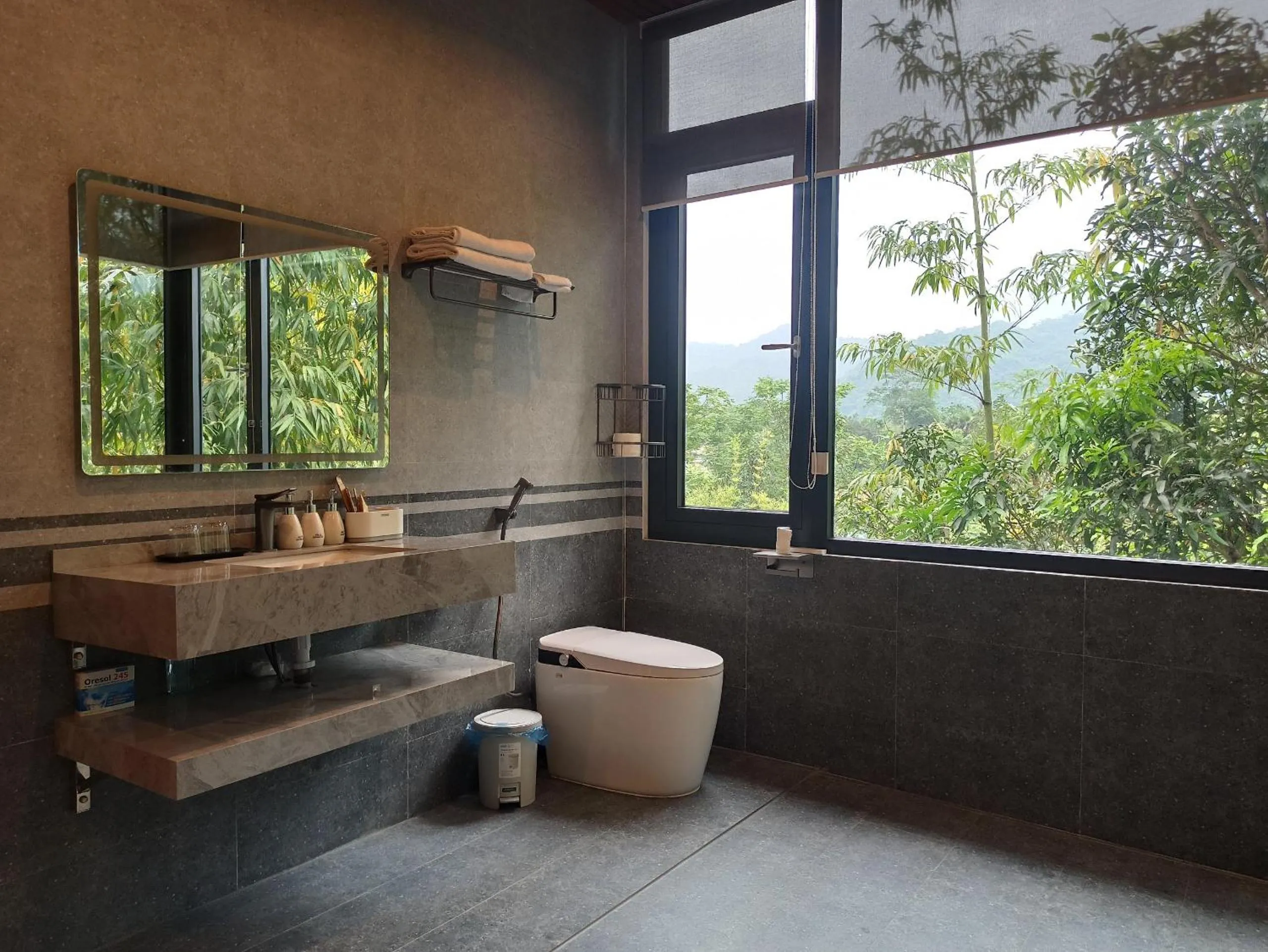 Toilet in Lake House