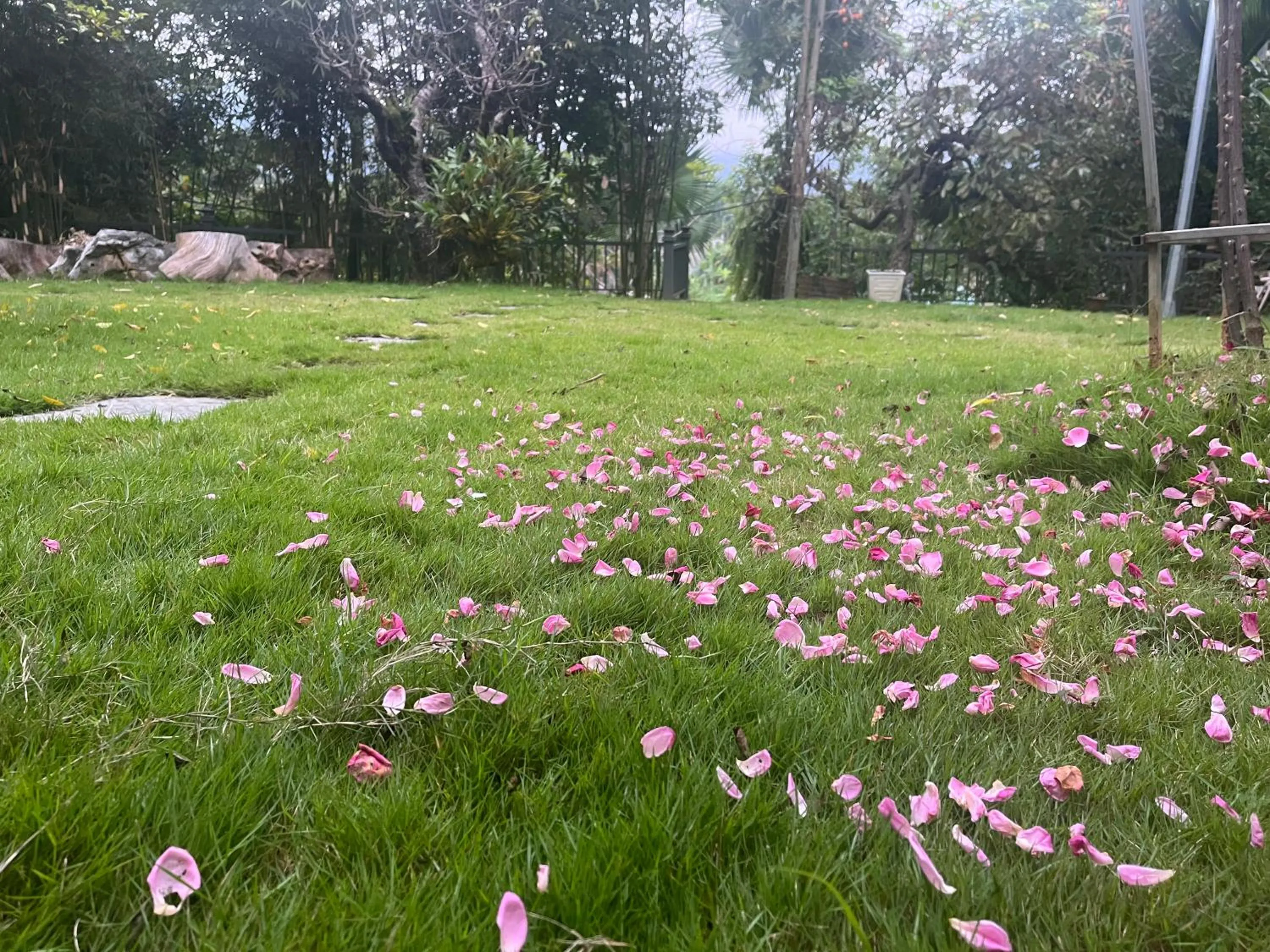 Garden in Lake House