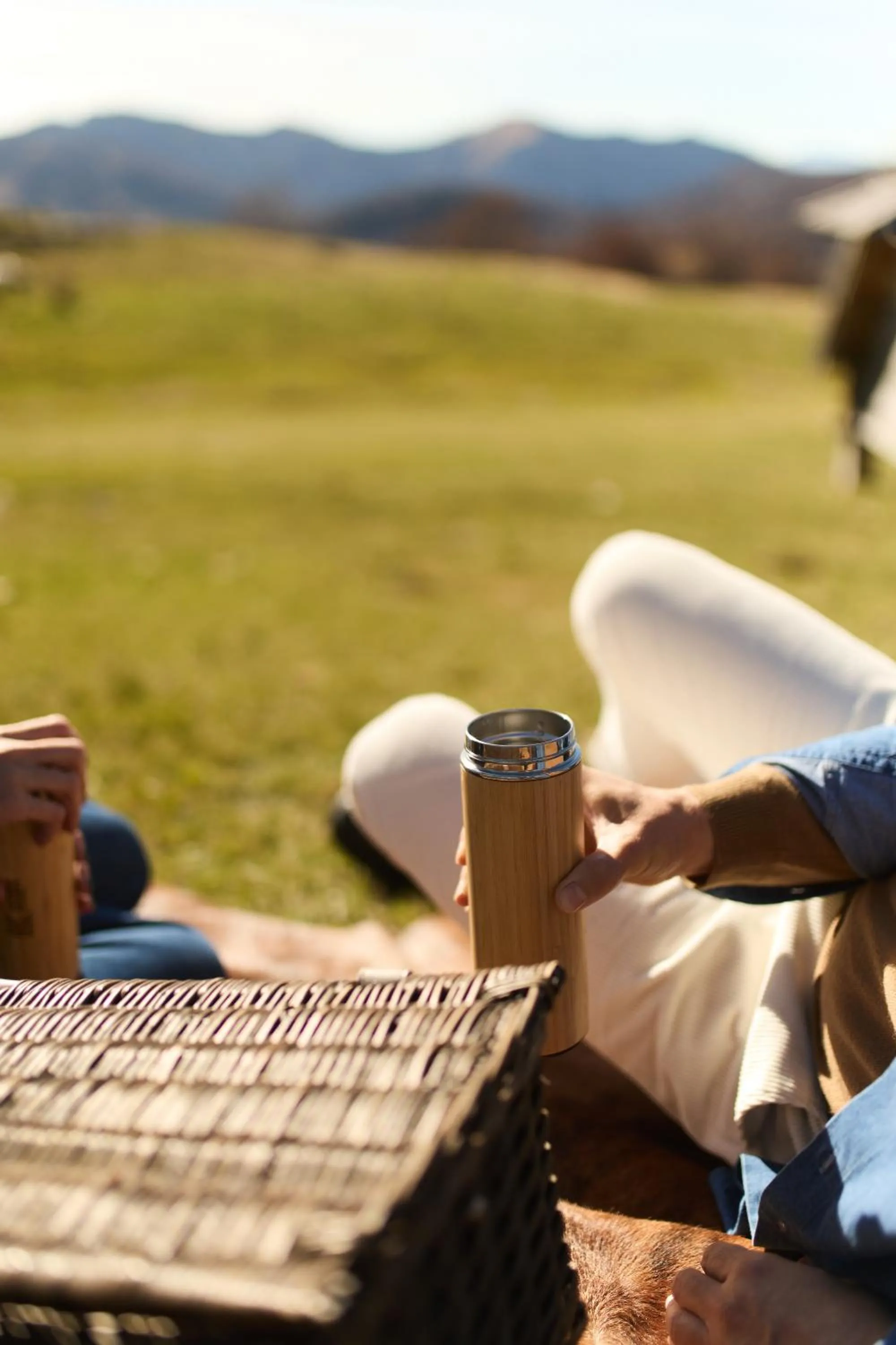 Day in Swissôtel Resort Kolasin