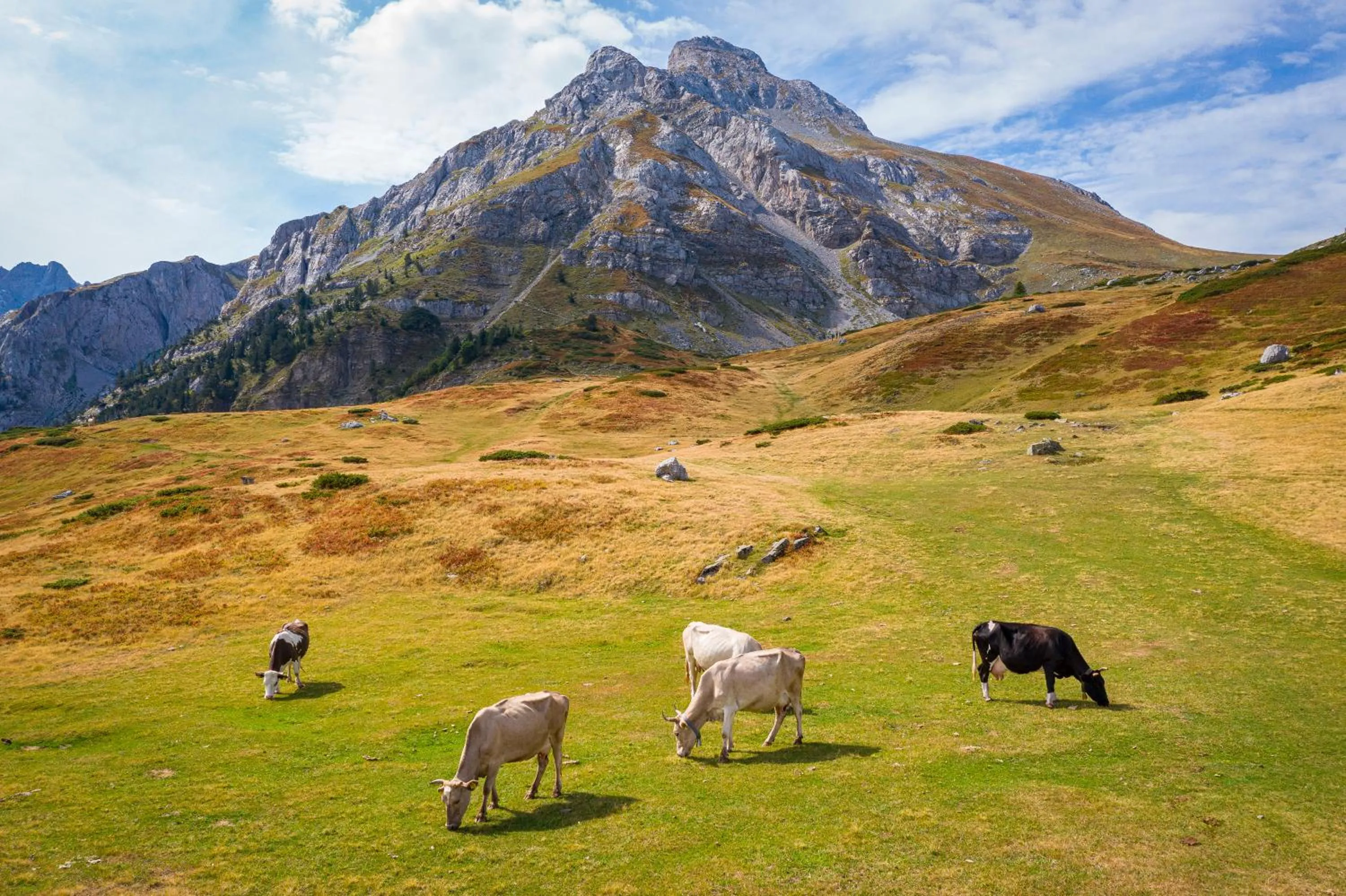 Natural landscape in Swissôtel Resort Kolasin