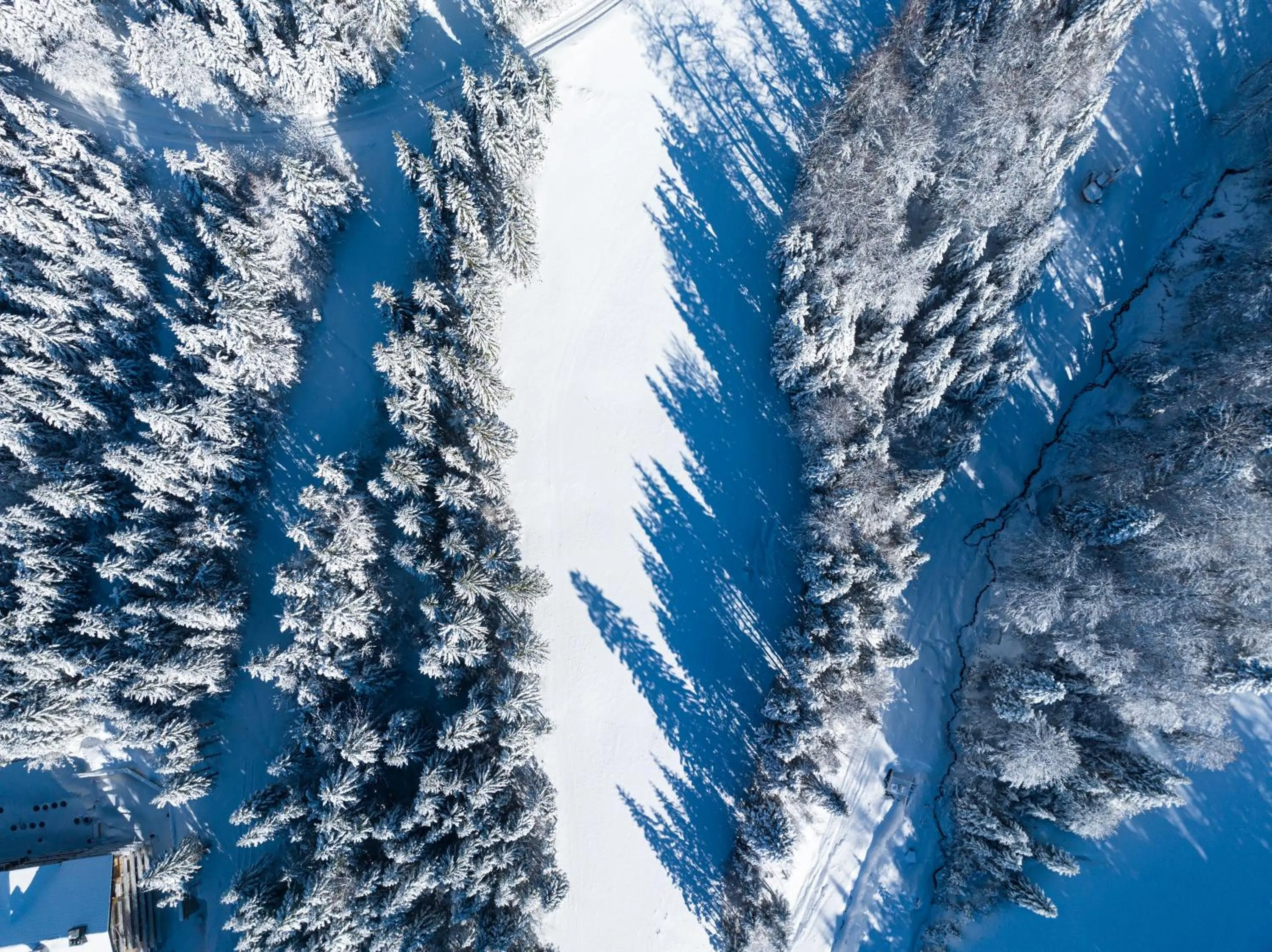 Day in Swissôtel Resort Kolasin