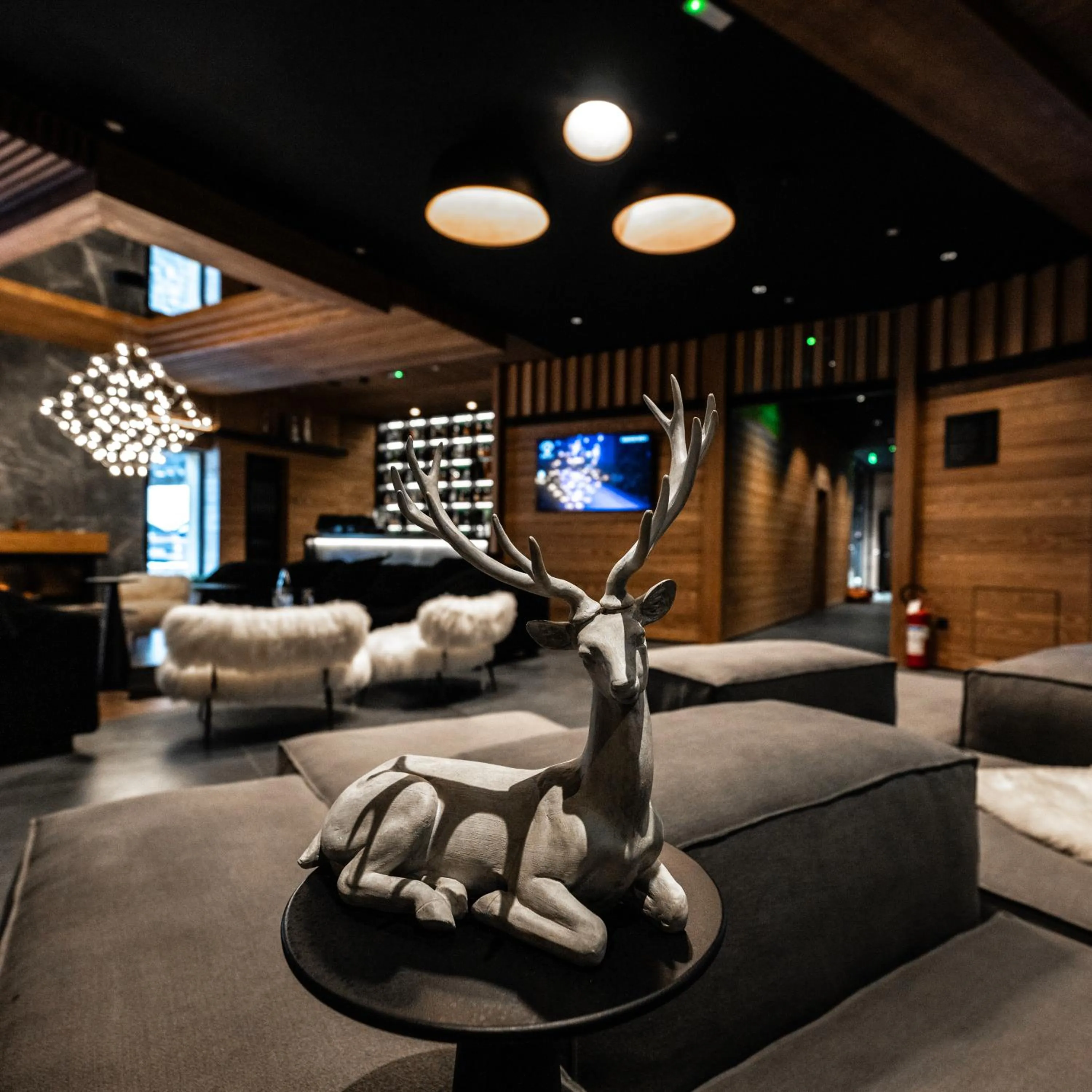 Lobby or reception in Swissôtel Resort Kolasin