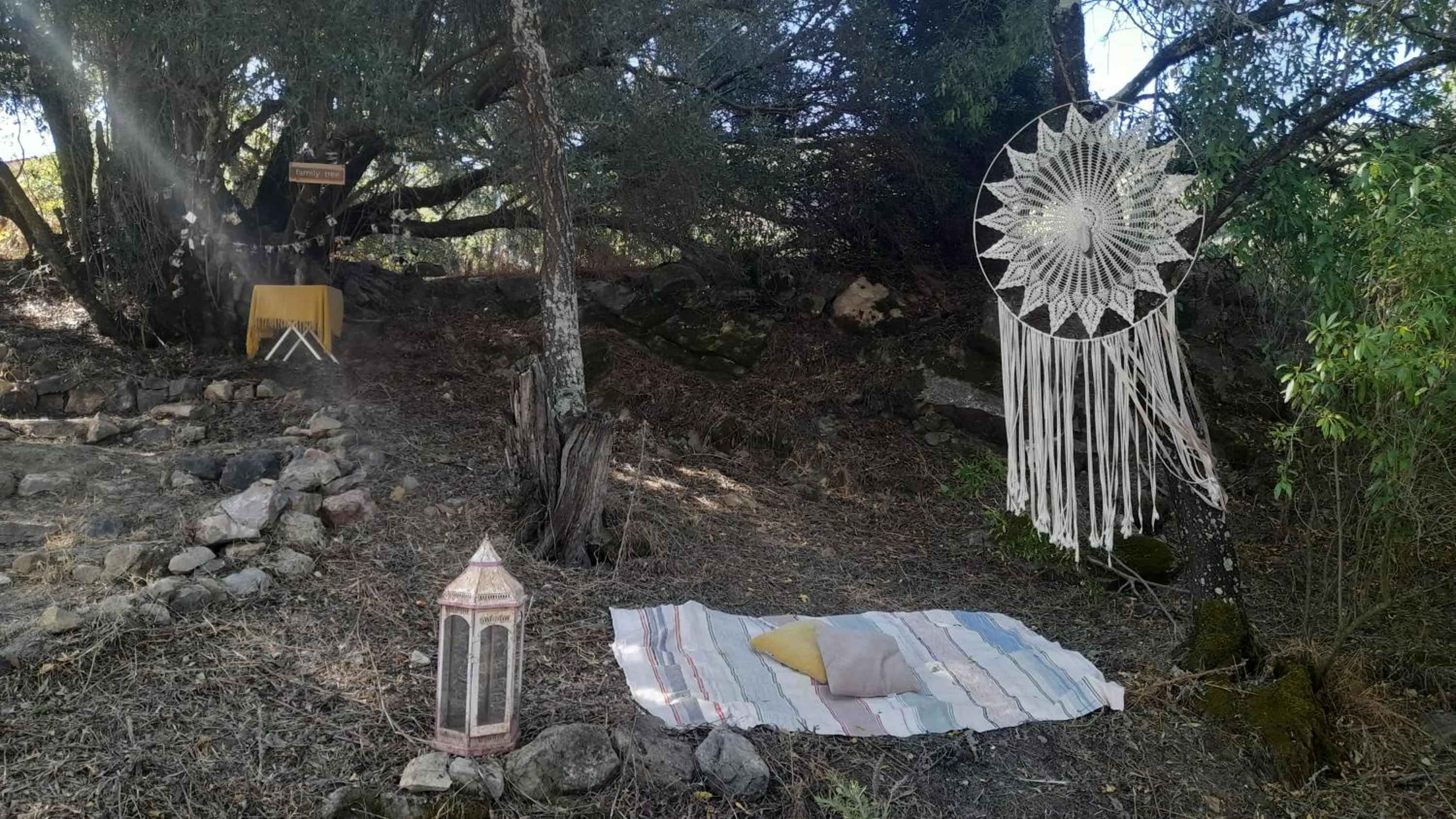 Natural landscape in Biovilla Sustentabilidade