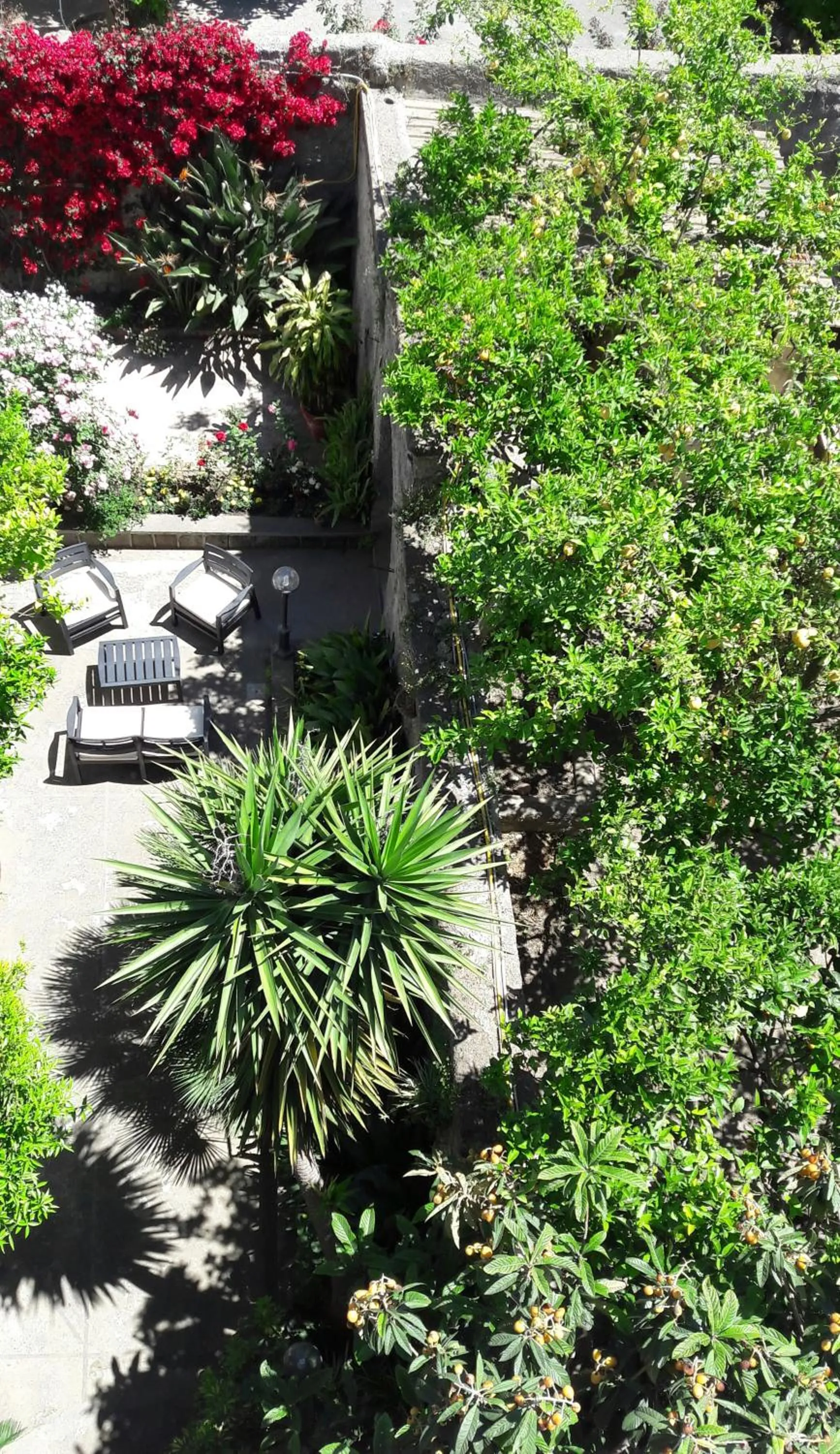 Back to Sorrento