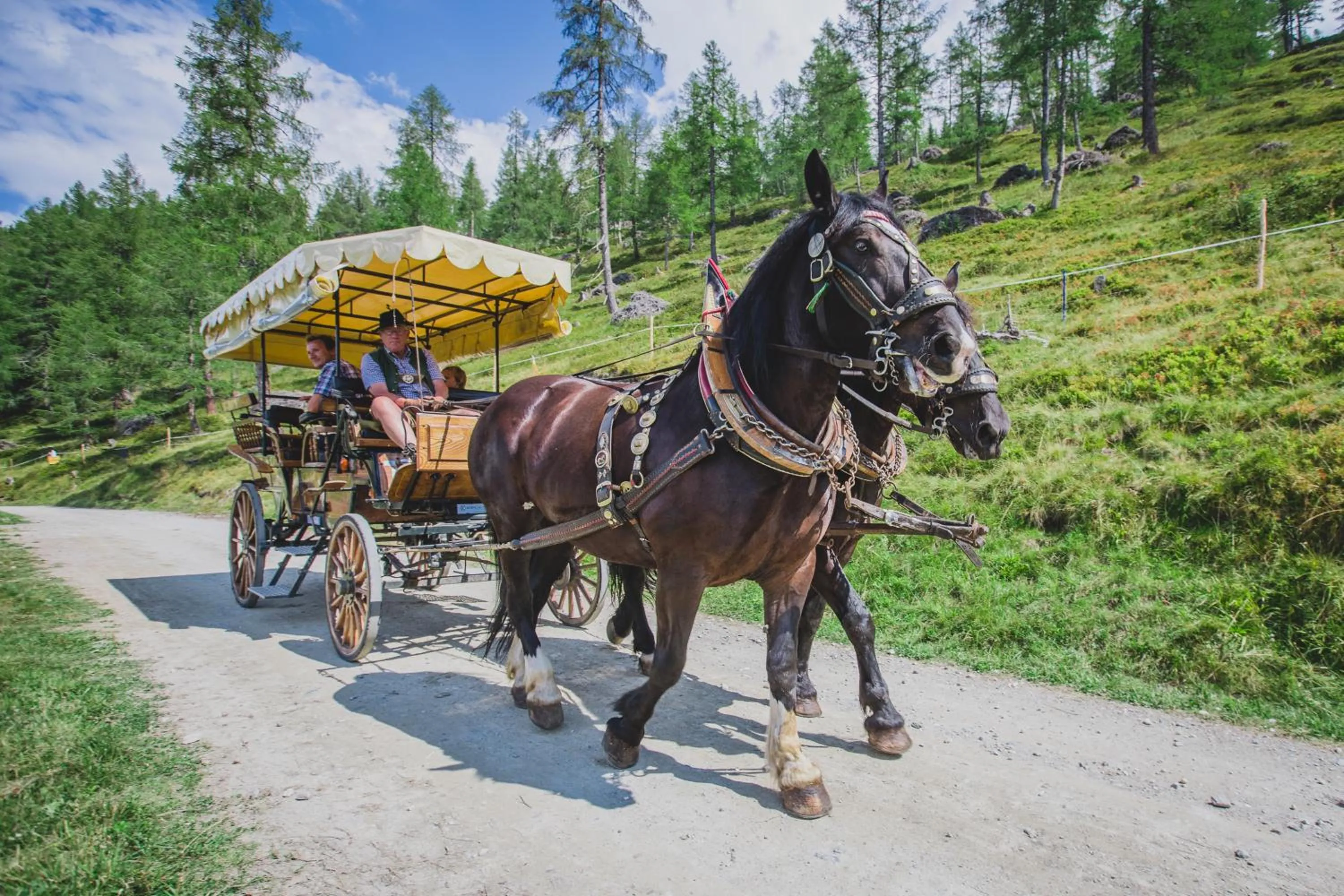 Horse-riding in Apartments by GMS