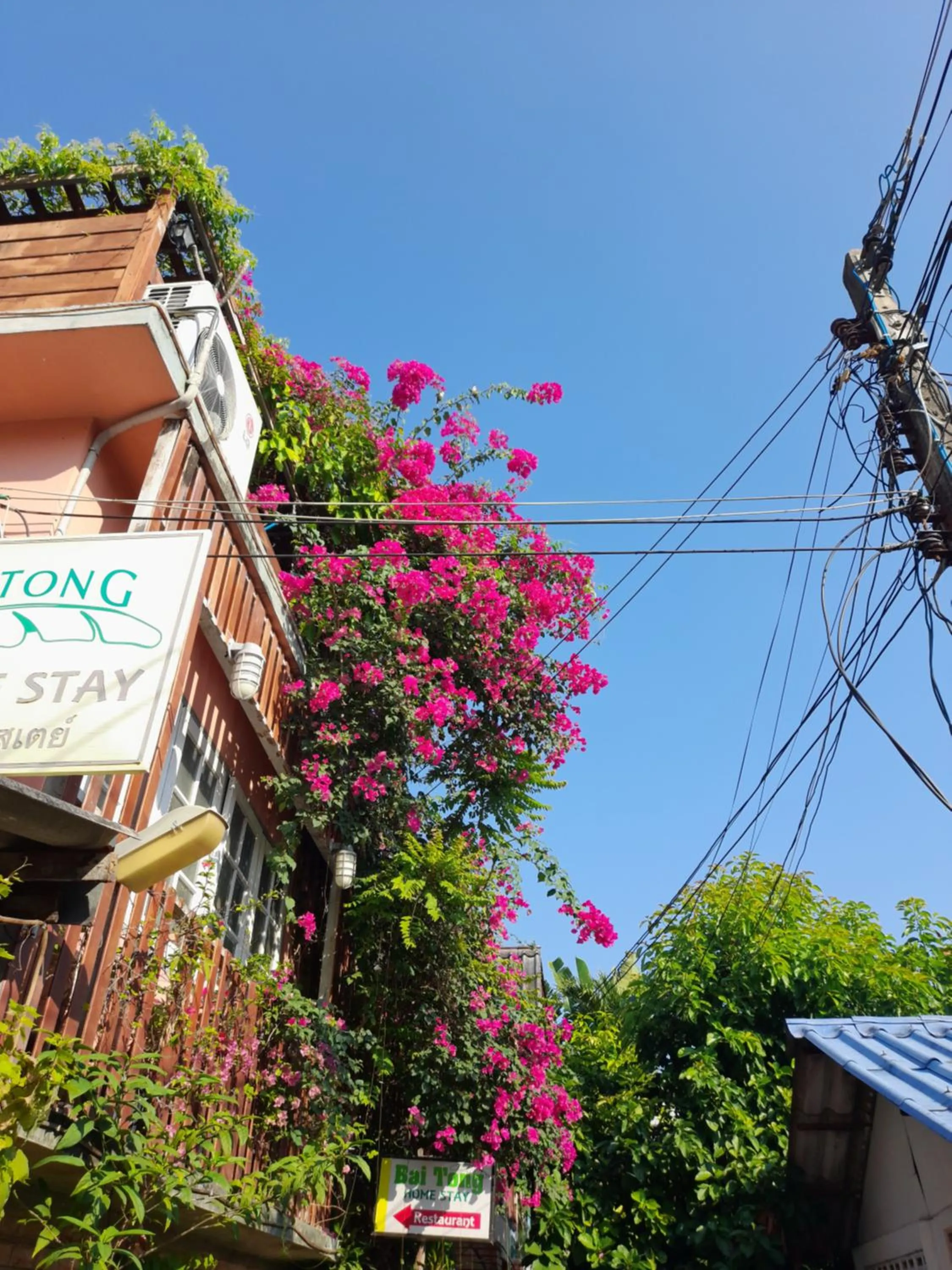 Property building in Baitong Homestay