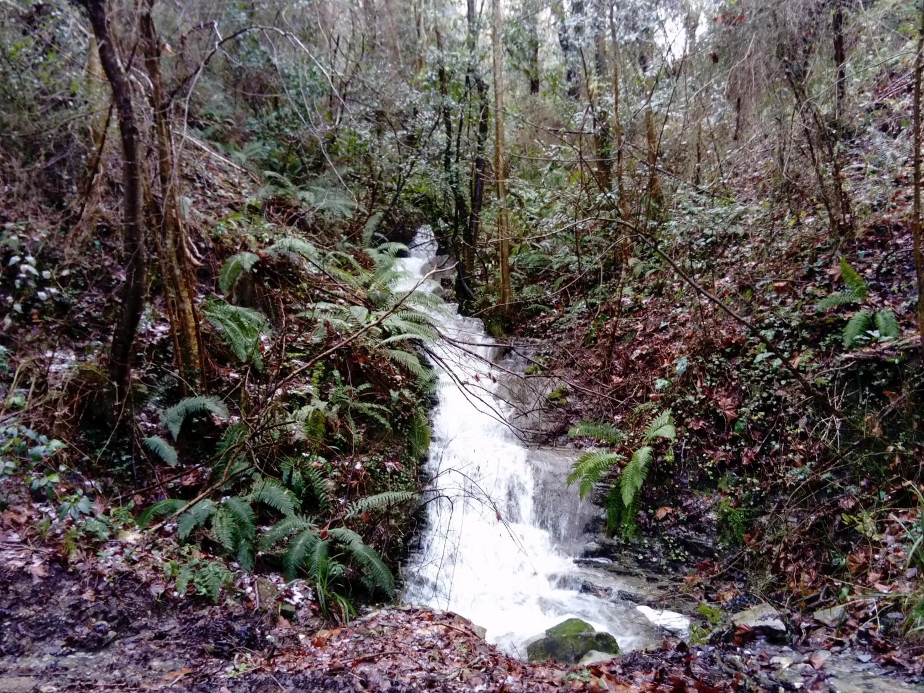 Natural landscape in Gazteategi