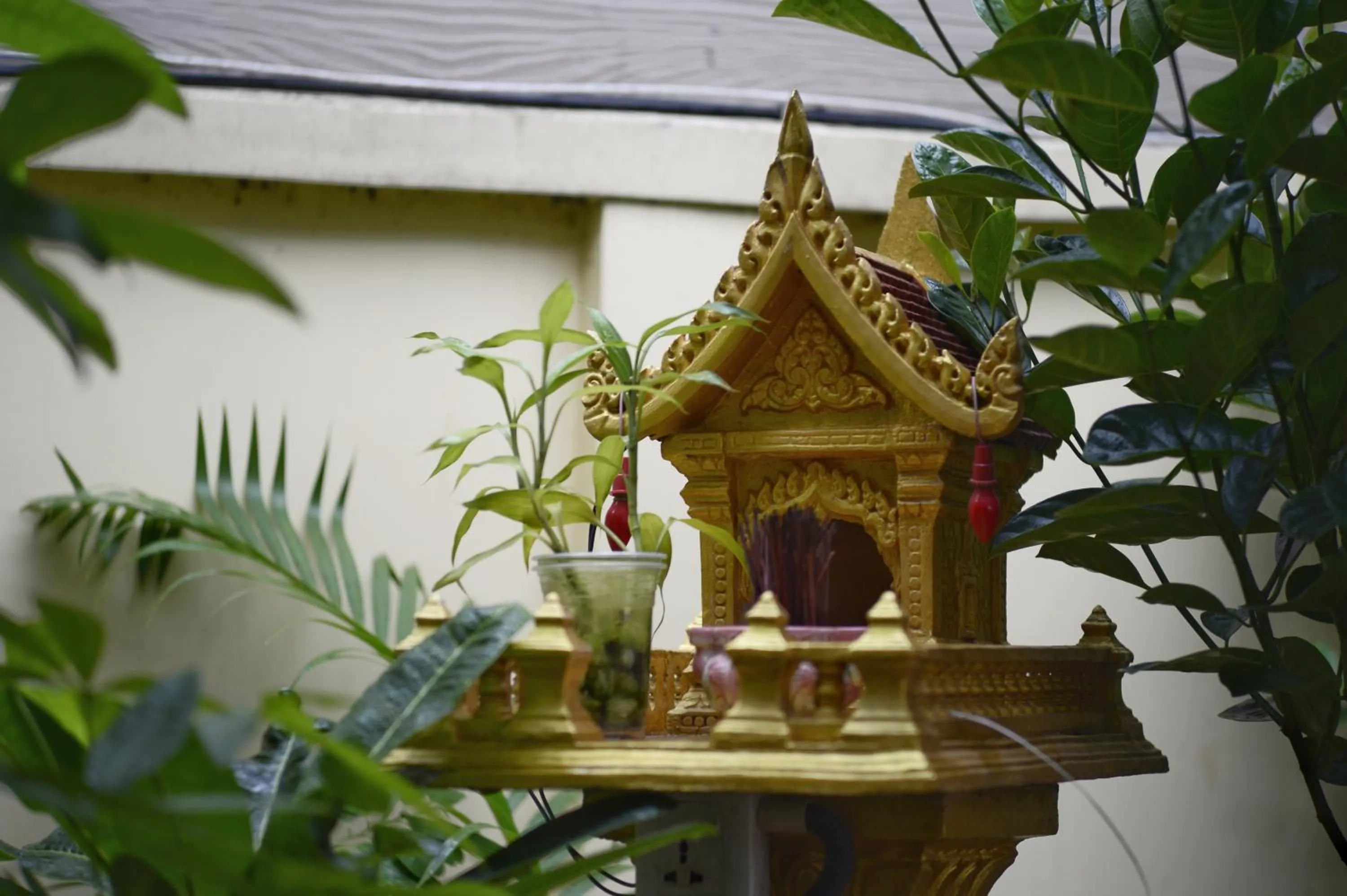 Garden in Villa Grange