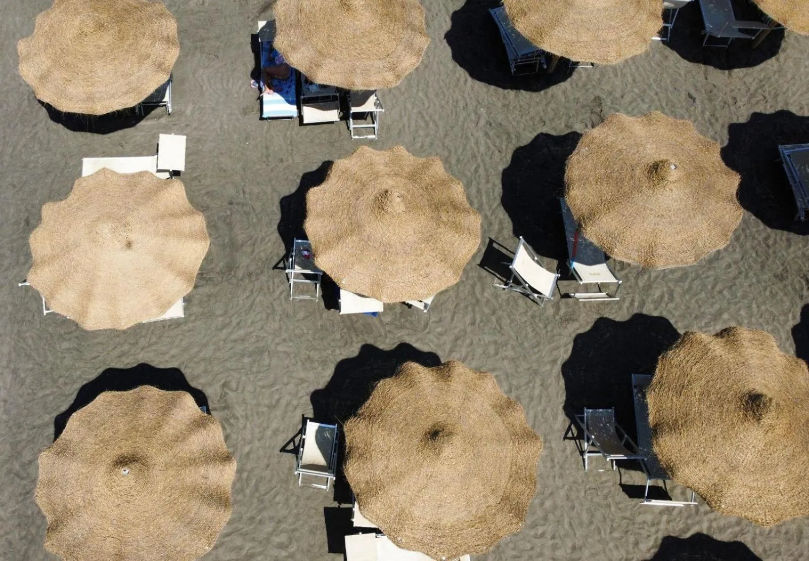 Beach Club Ippocampo