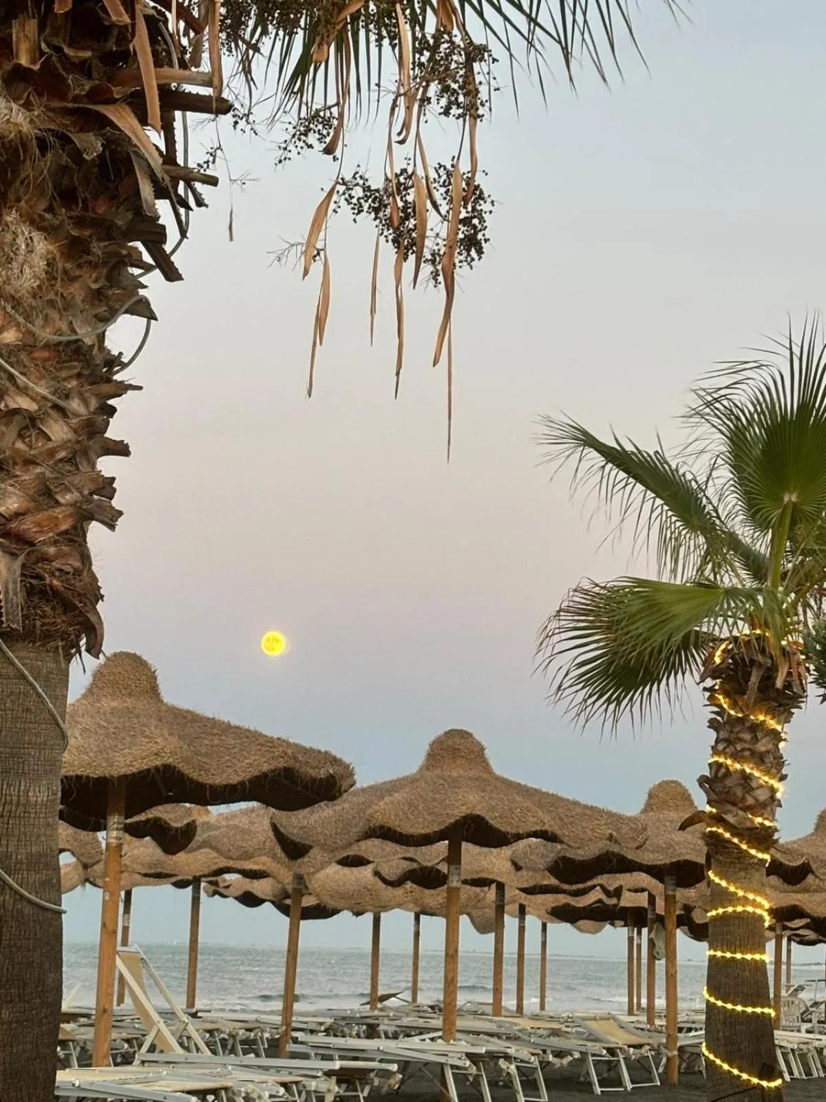 Beach Club Ippocampo