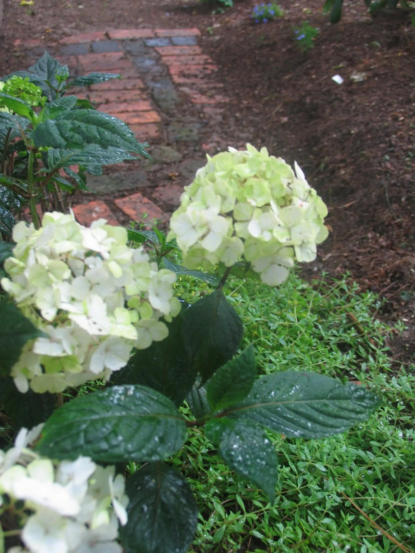 Day in B&B Villa Emma