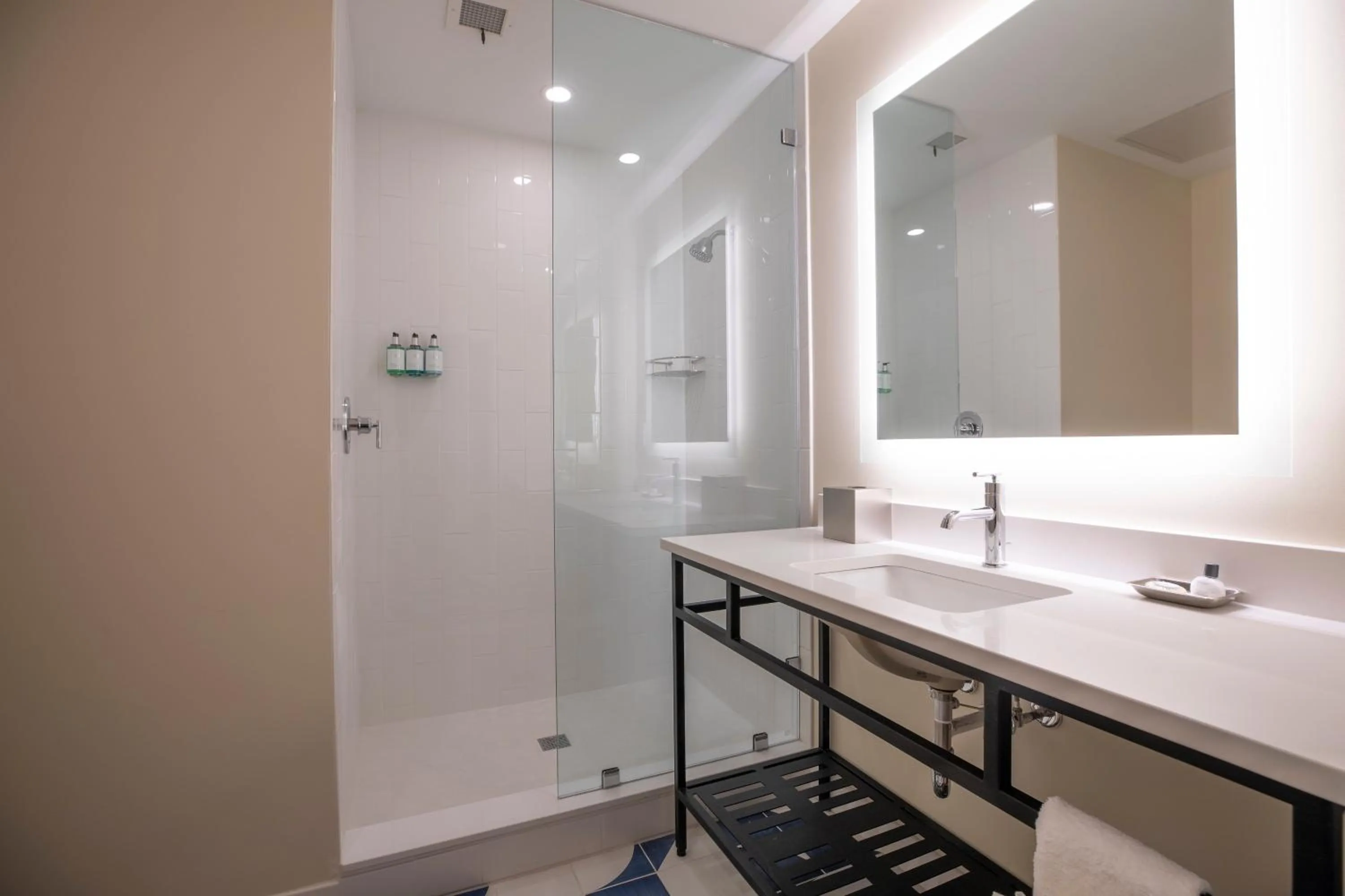 Shower in The Holbrook Hotel