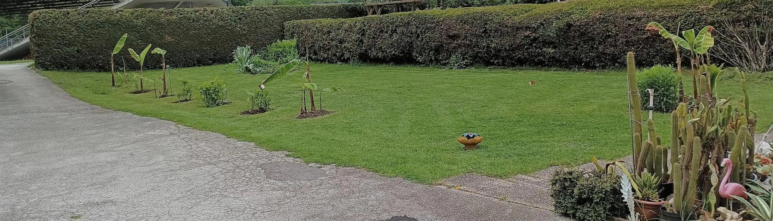 Garden in Haus Friedburg