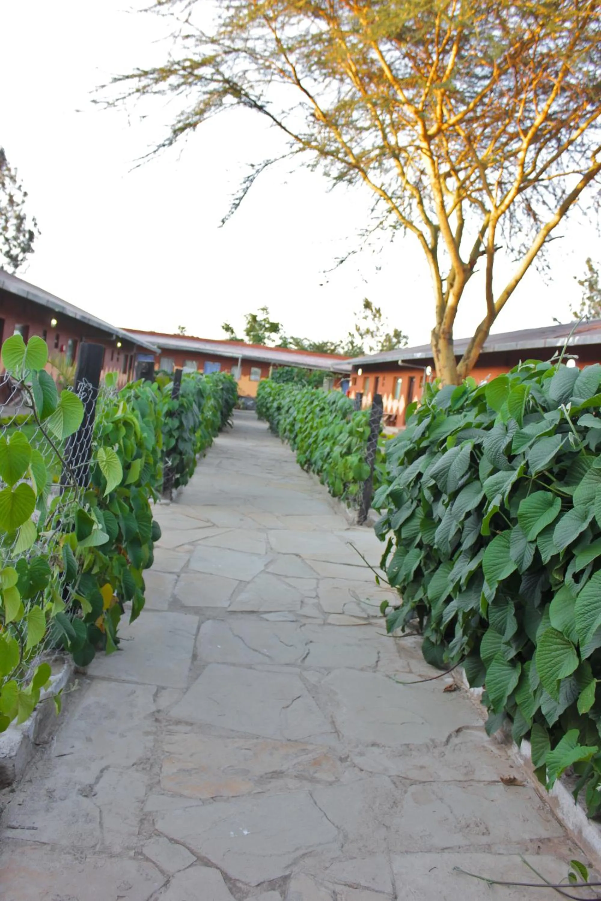 Swimming pool in Sweet Lake Resort